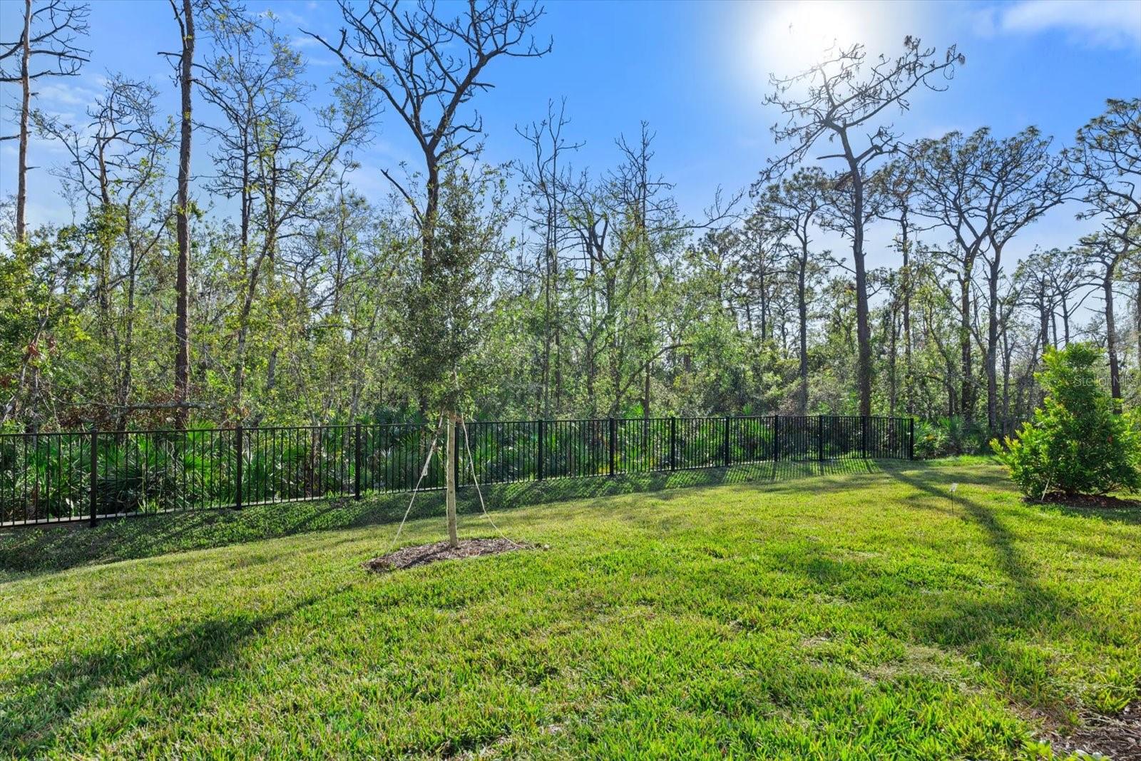 13921 LILAC SKY TER, BRADENTON, FL, 34211