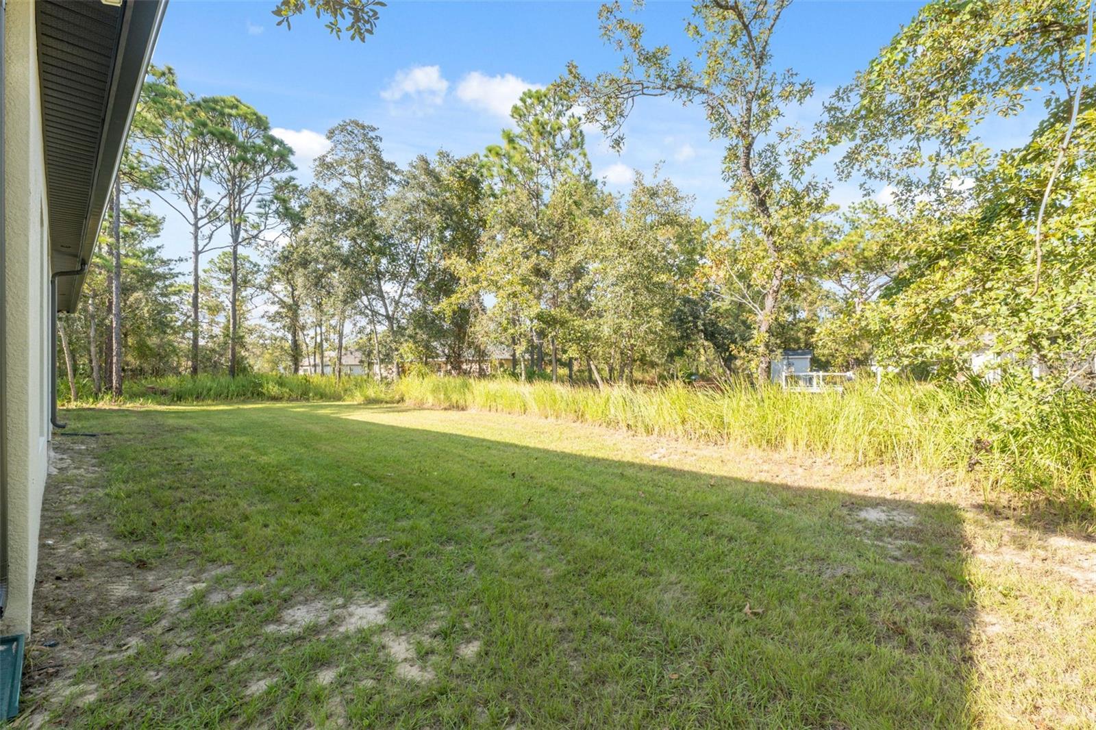 11780 OSPREY AVE, WEEKI WACHEE, FL, 34614