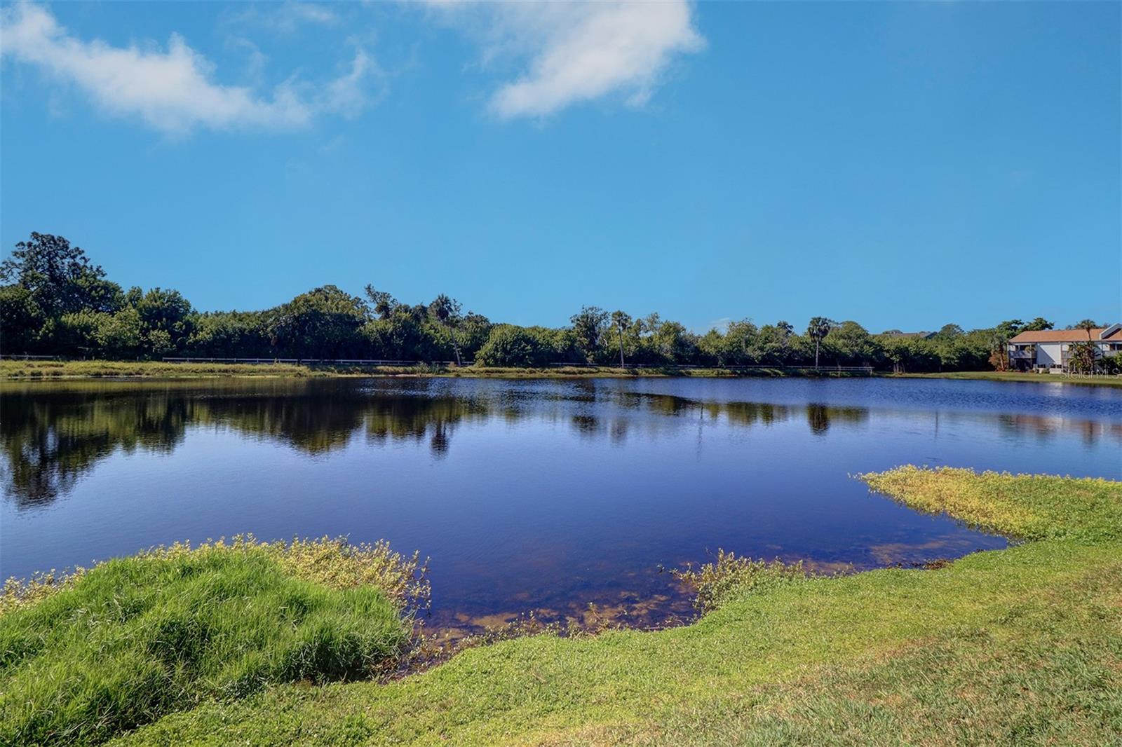 706 115TH AVE N #2401, ST PETERSBURG, FL, 33716