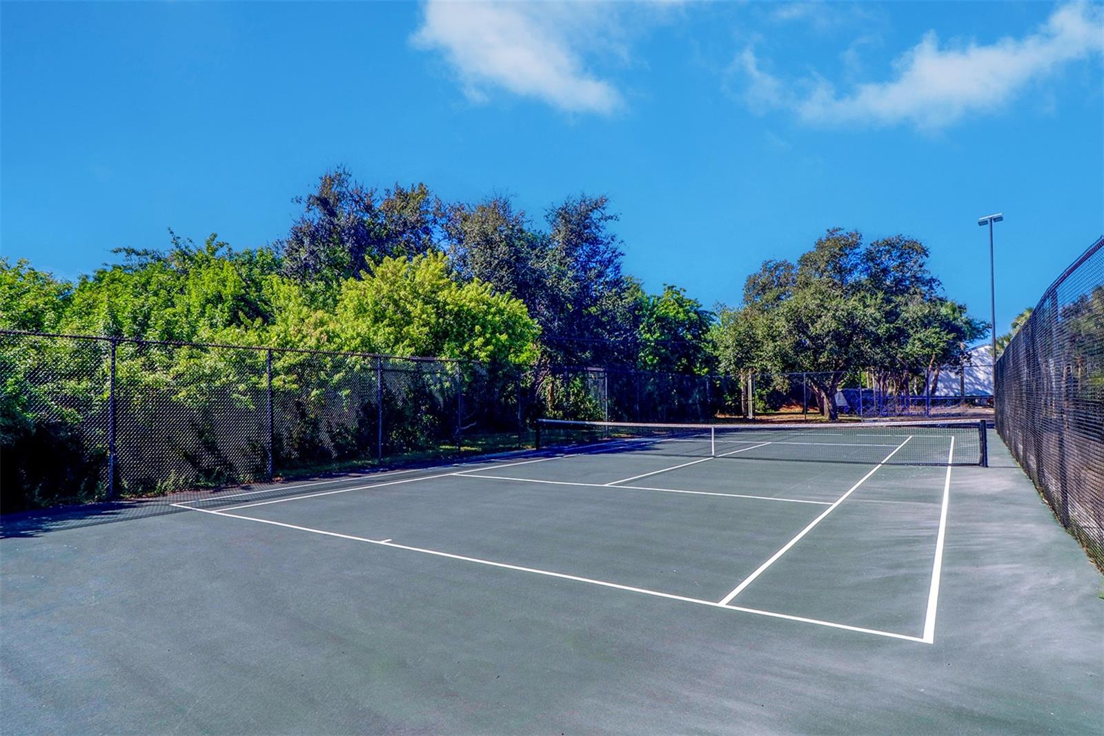 706 115TH AVE N #2401, ST PETERSBURG, FL, 33716