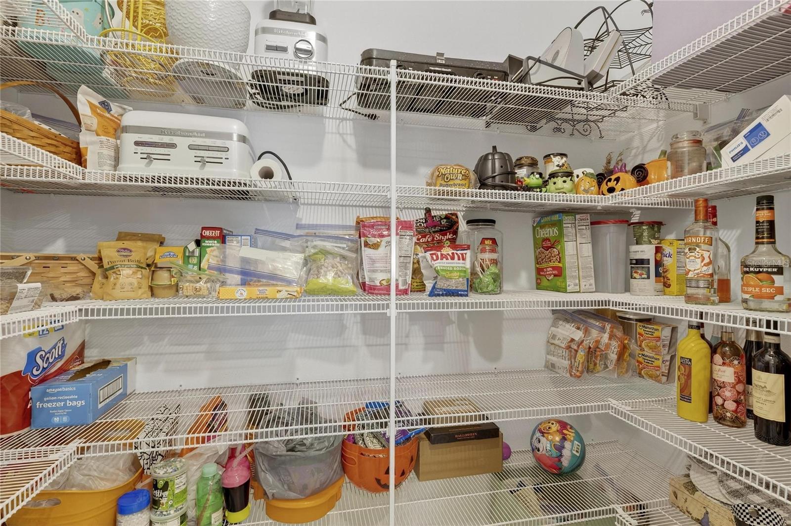 13423 JAMAICA PLANK LOOP, RIVERVIEW, FL, 33579