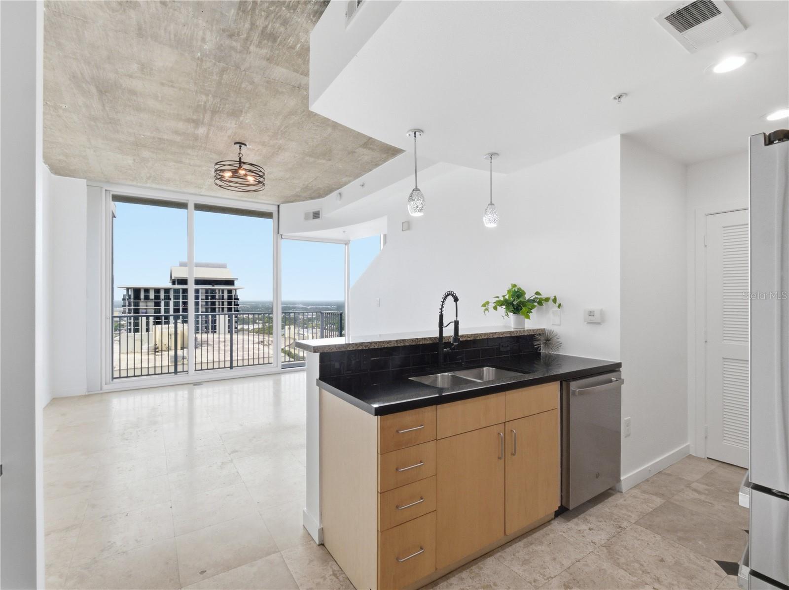 155 S COURT AVE #2704, ORLANDO, FL, 32801