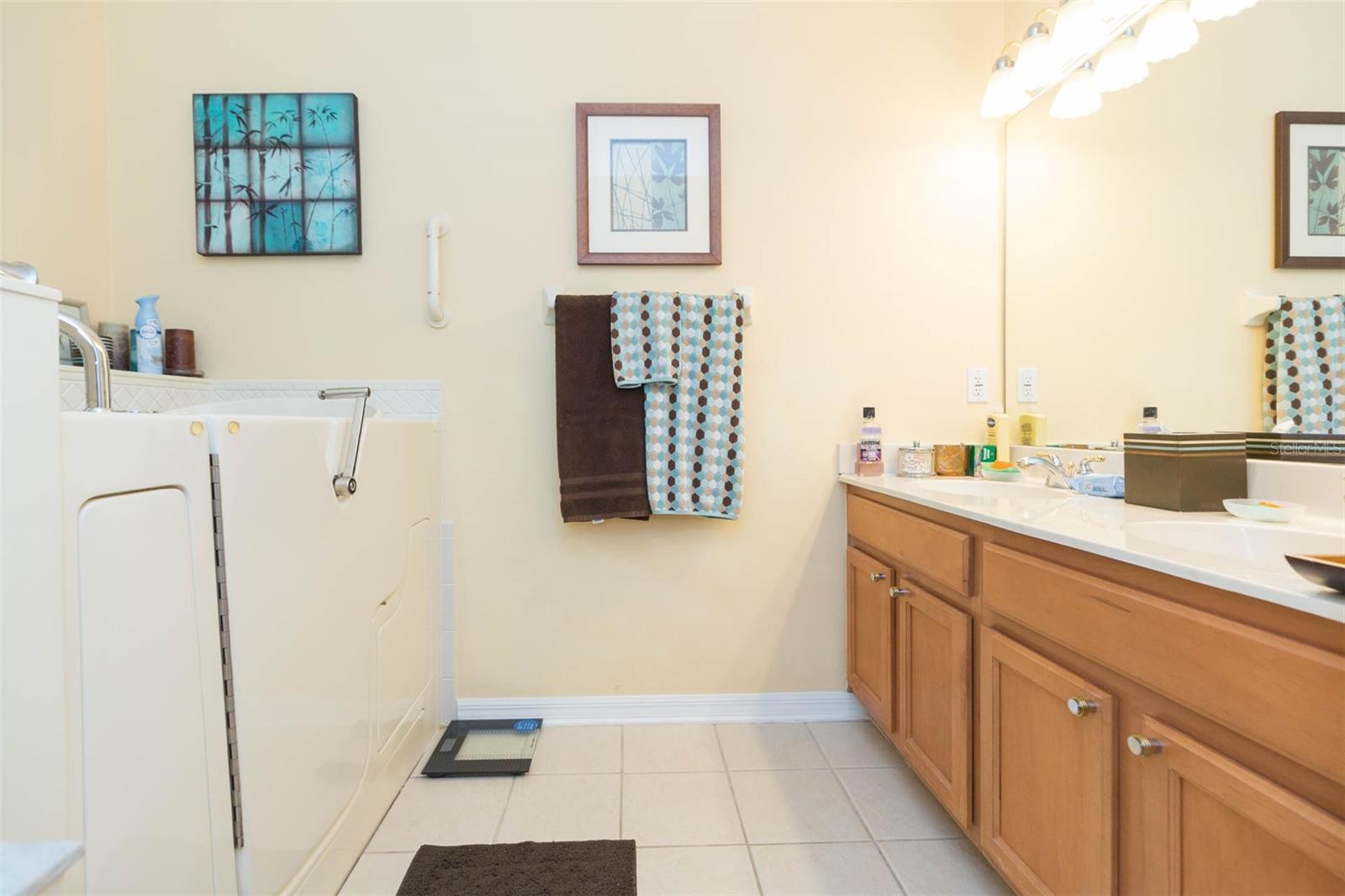 10226 DEVONSHIRE LAKE DR, TAMPA, FL, 33647