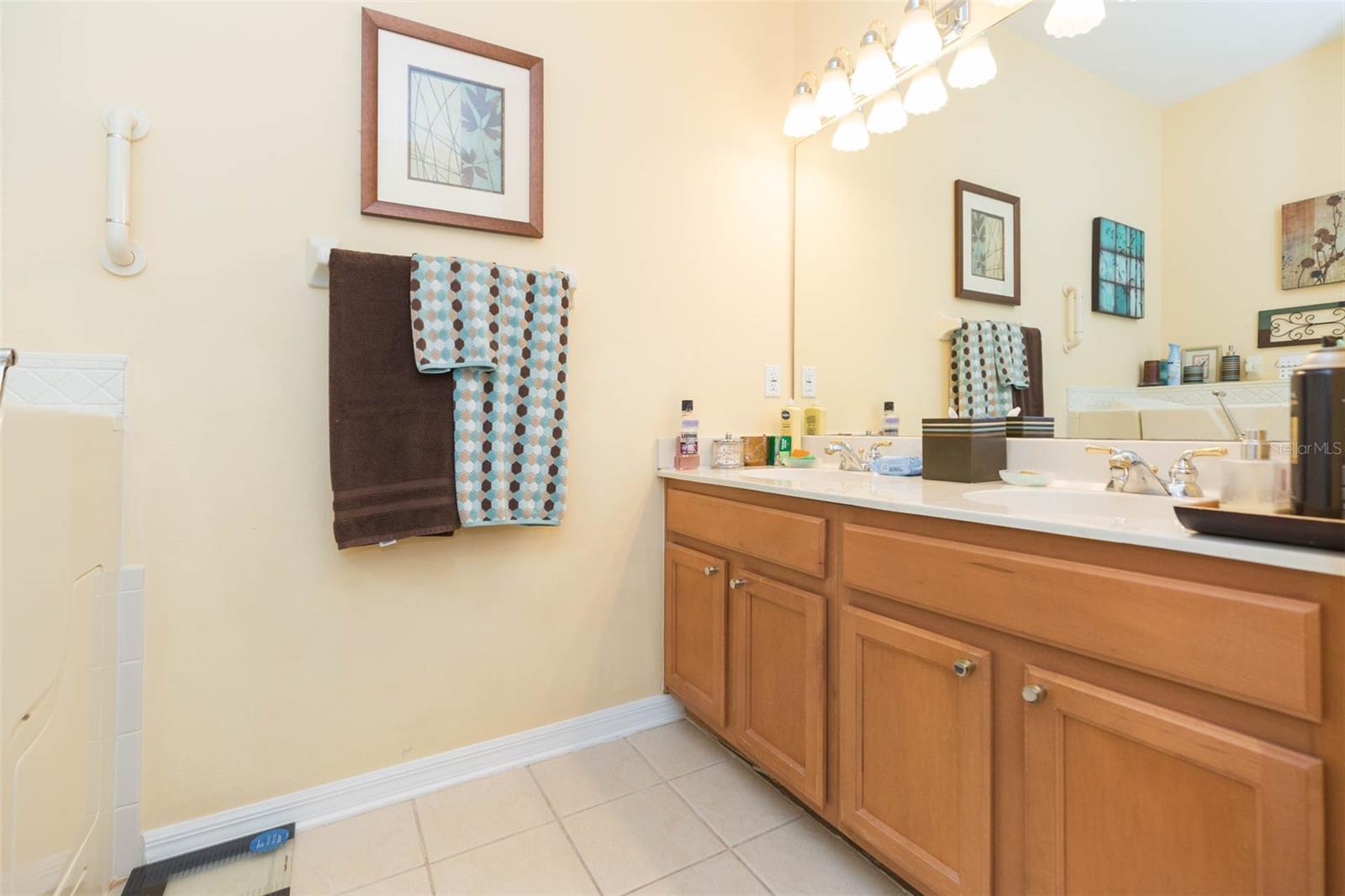 10226 DEVONSHIRE LAKE DR, TAMPA, FL, 33647