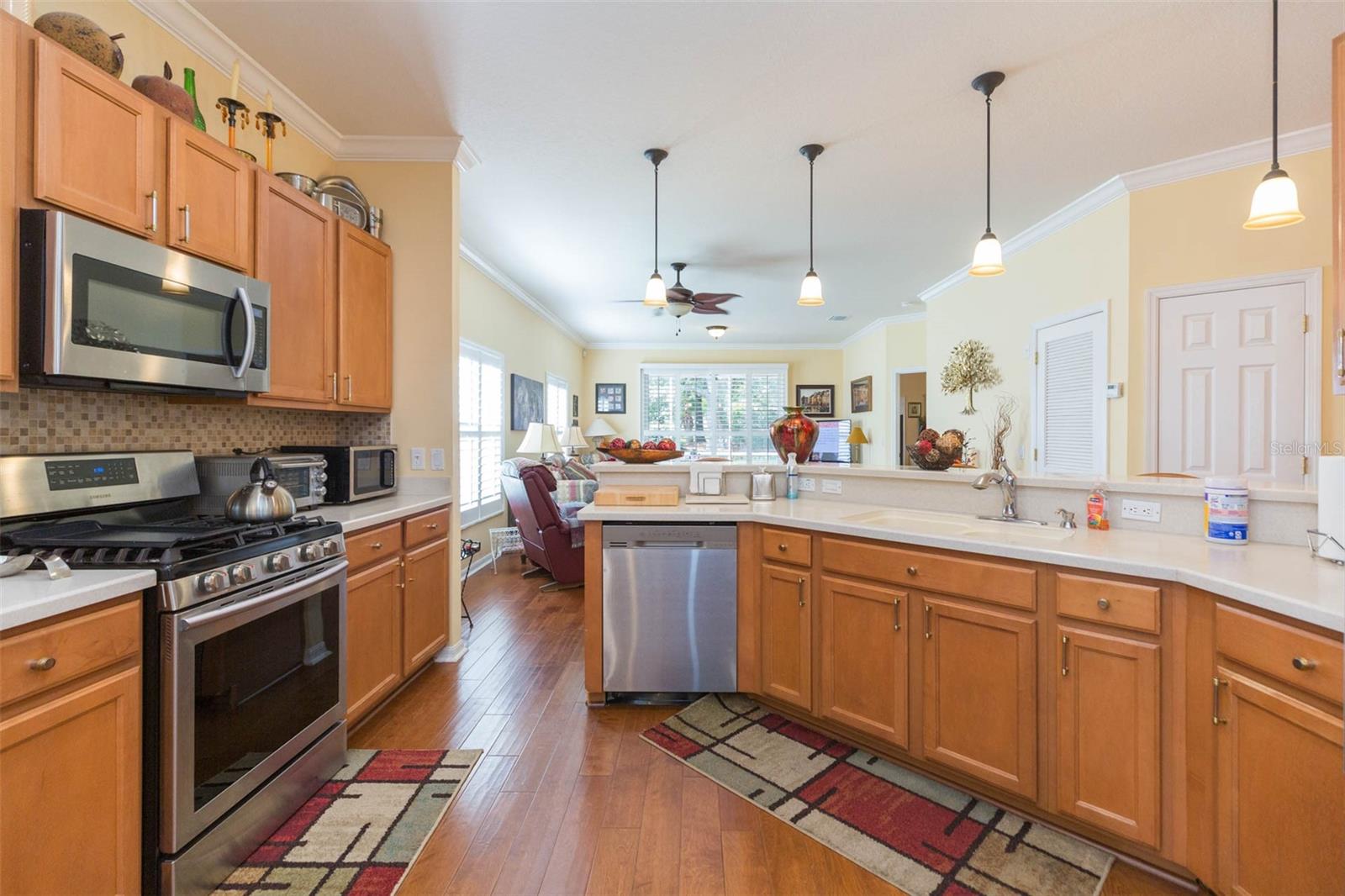 10226 DEVONSHIRE LAKE DR, TAMPA, FL, 33647