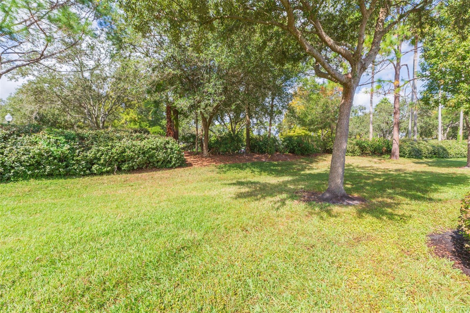 10226 DEVONSHIRE LAKE DR, TAMPA, FL, 33647