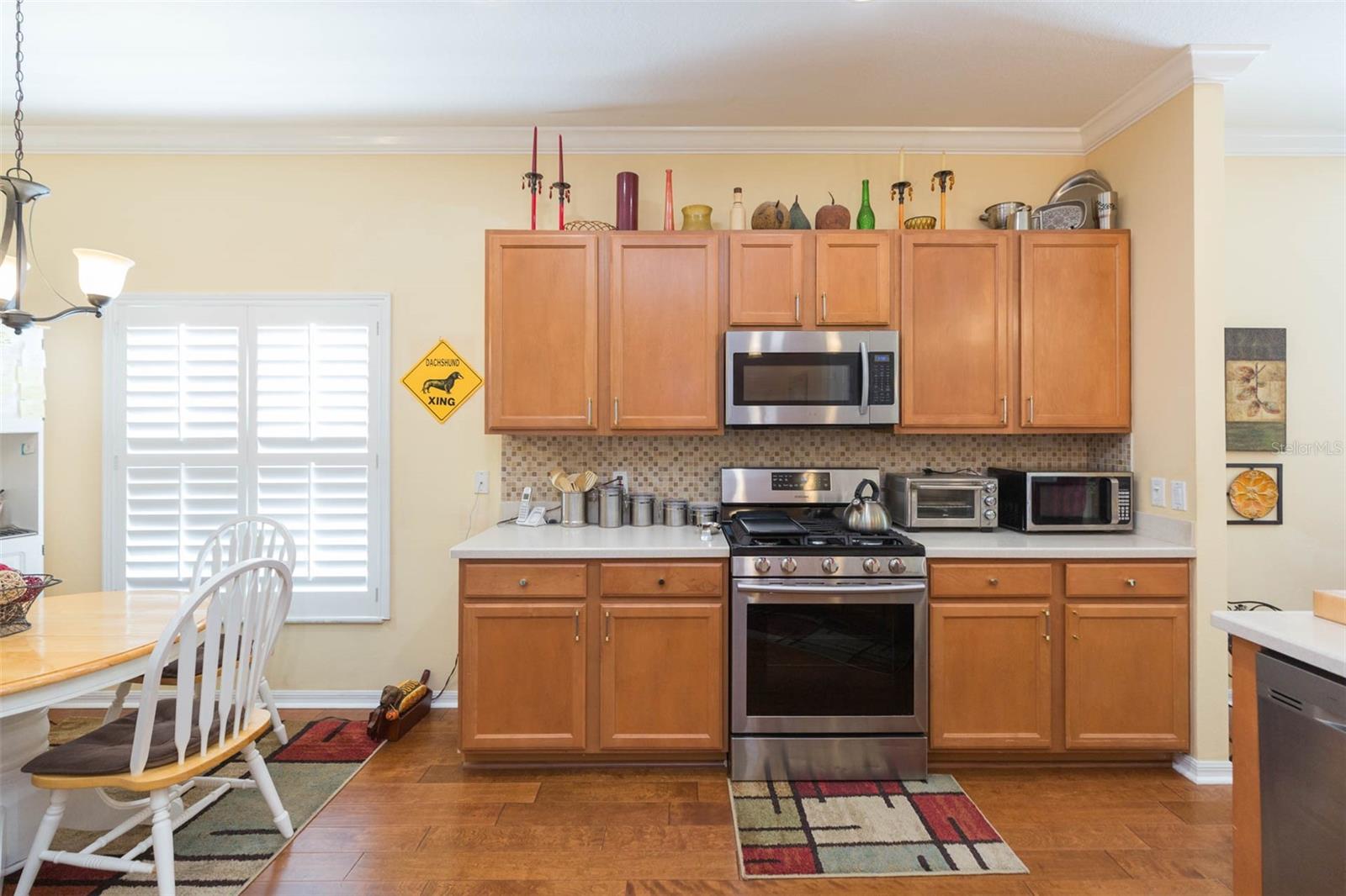 10226 DEVONSHIRE LAKE DR, TAMPA, FL, 33647