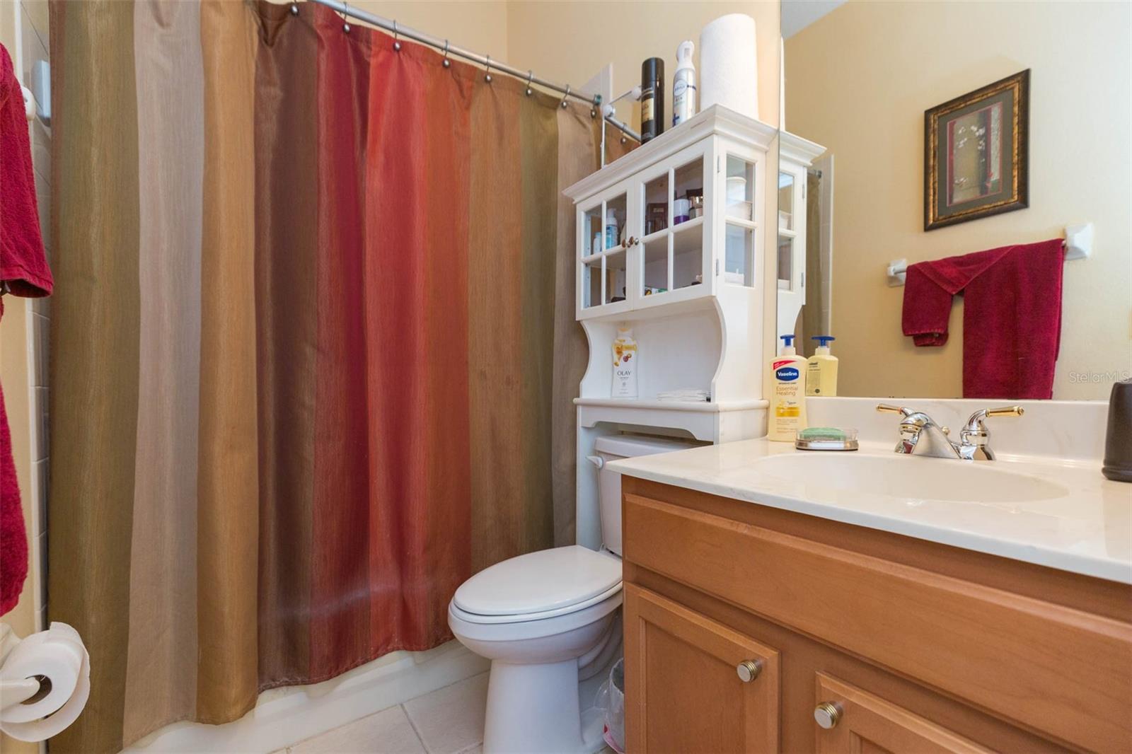 10226 DEVONSHIRE LAKE DR, TAMPA, FL, 33647