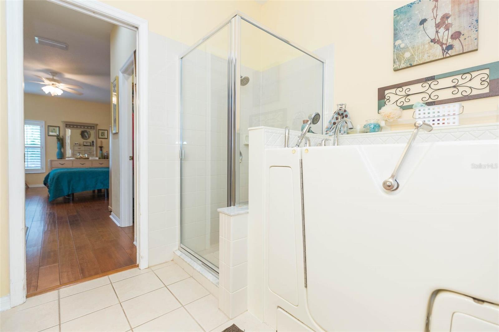 10226 DEVONSHIRE LAKE DR, TAMPA, FL, 33647