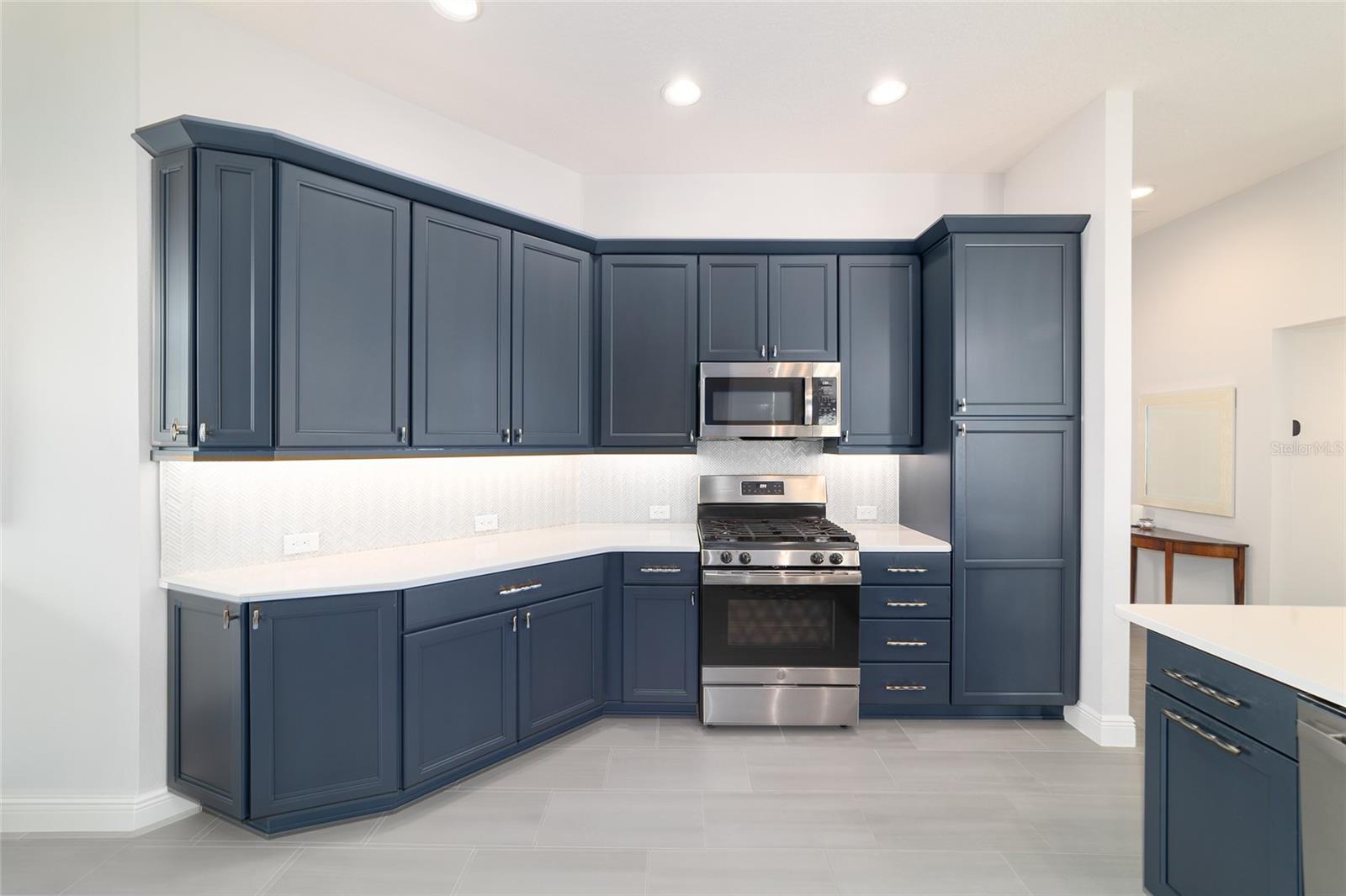 3753 COYNE LOOP, THE VILLAGES, FL, 32163