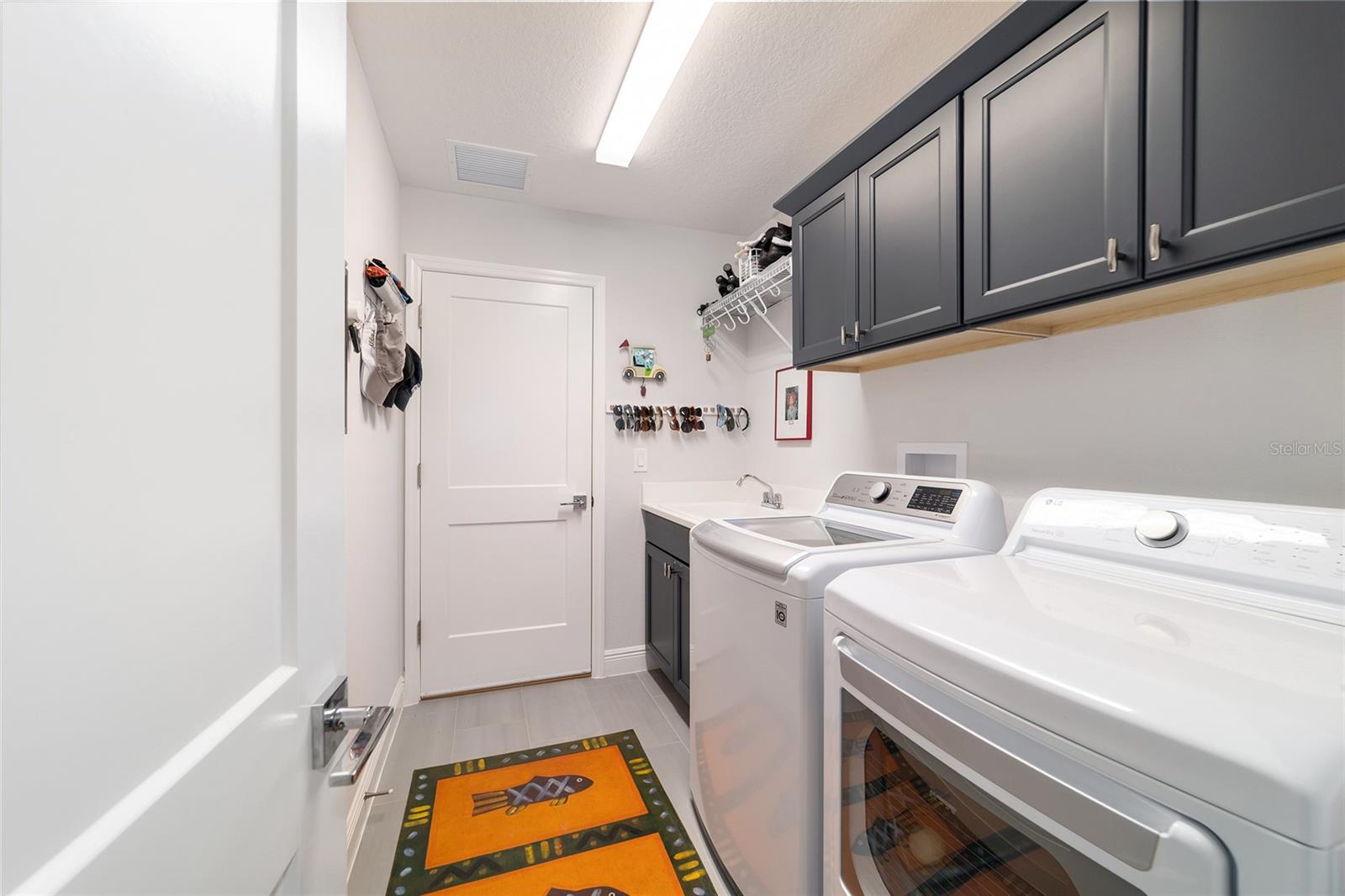 3753 COYNE LOOP, THE VILLAGES, FL, 32163