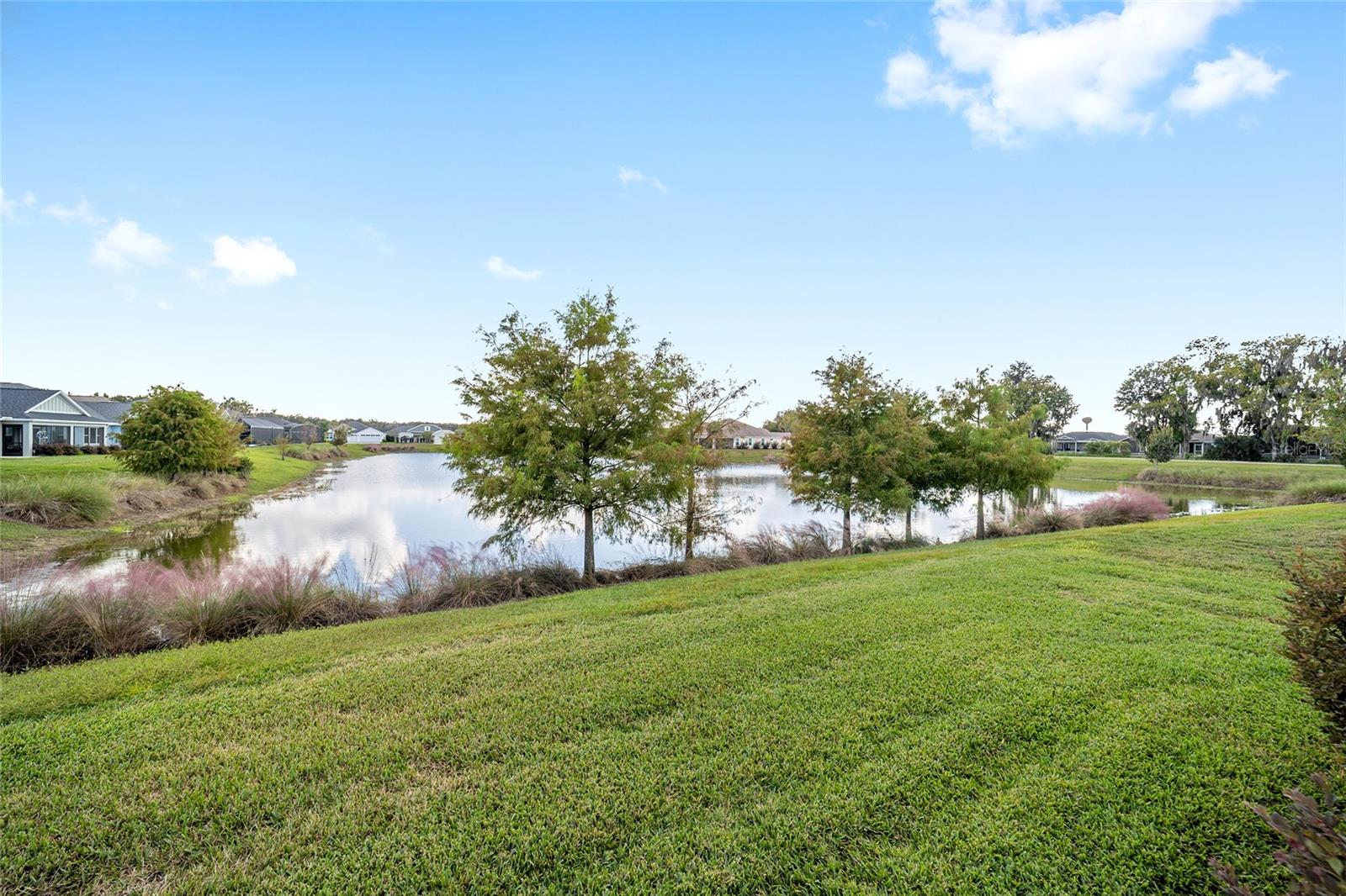 3753 COYNE LOOP, THE VILLAGES, FL, 32163