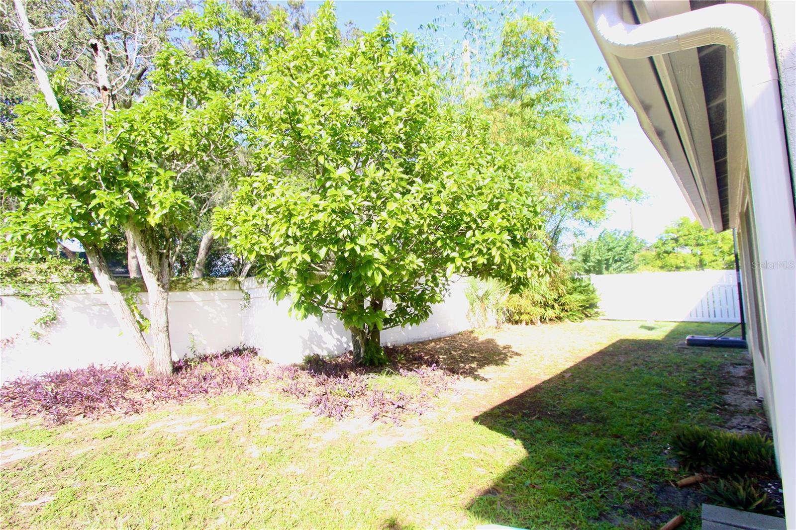 3625 POMPANO CT, GOTHA, FL, 34734