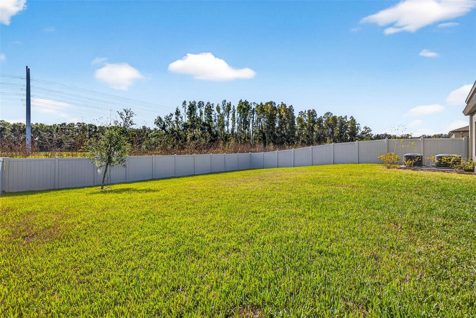 14531 WOODLAND SPUR DR, LITHIA, FL, 33547