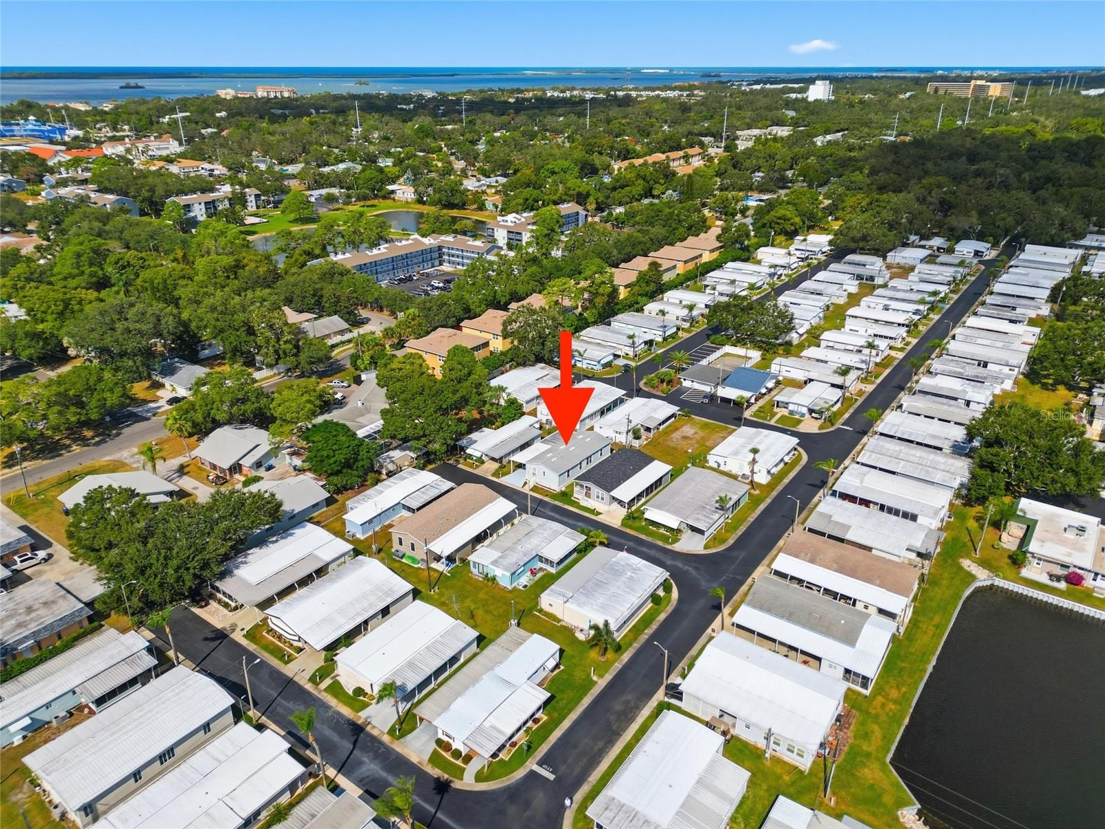 130 PATRICIA AVE #44, DUNEDIN, FL, 34698