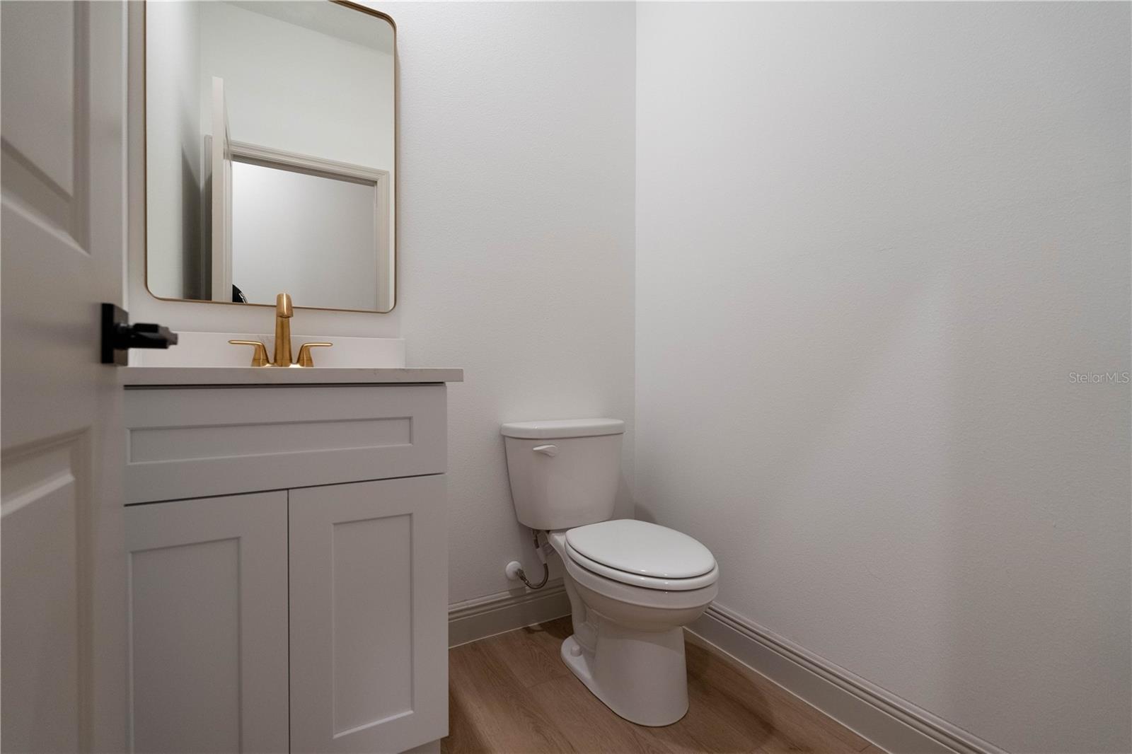 30536 HOYLAKE ST, SORRENTO, FL, 32776