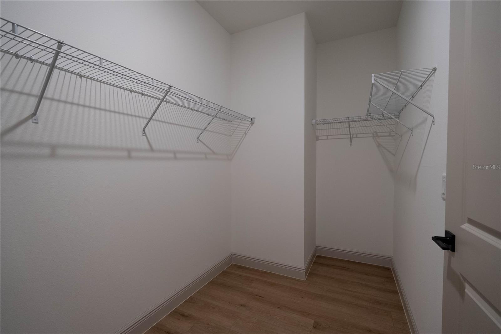 30536 HOYLAKE ST, SORRENTO, FL, 32776