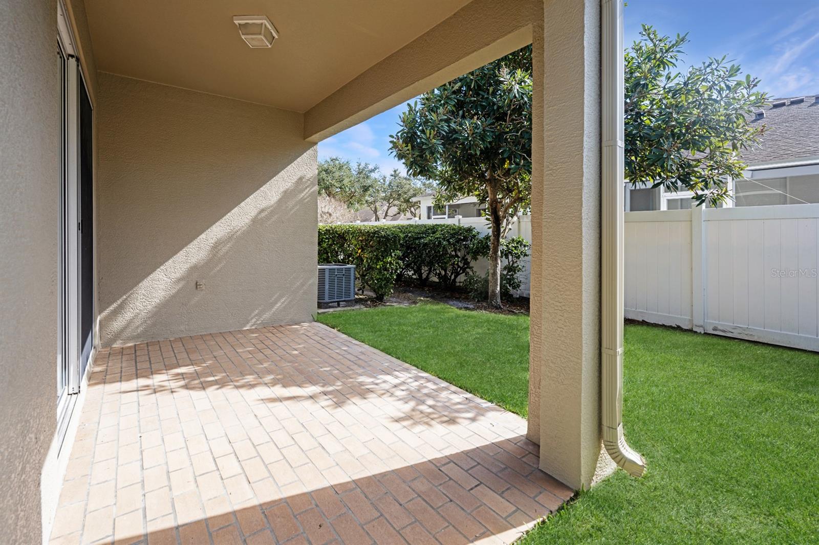 BACKYARD VIEW