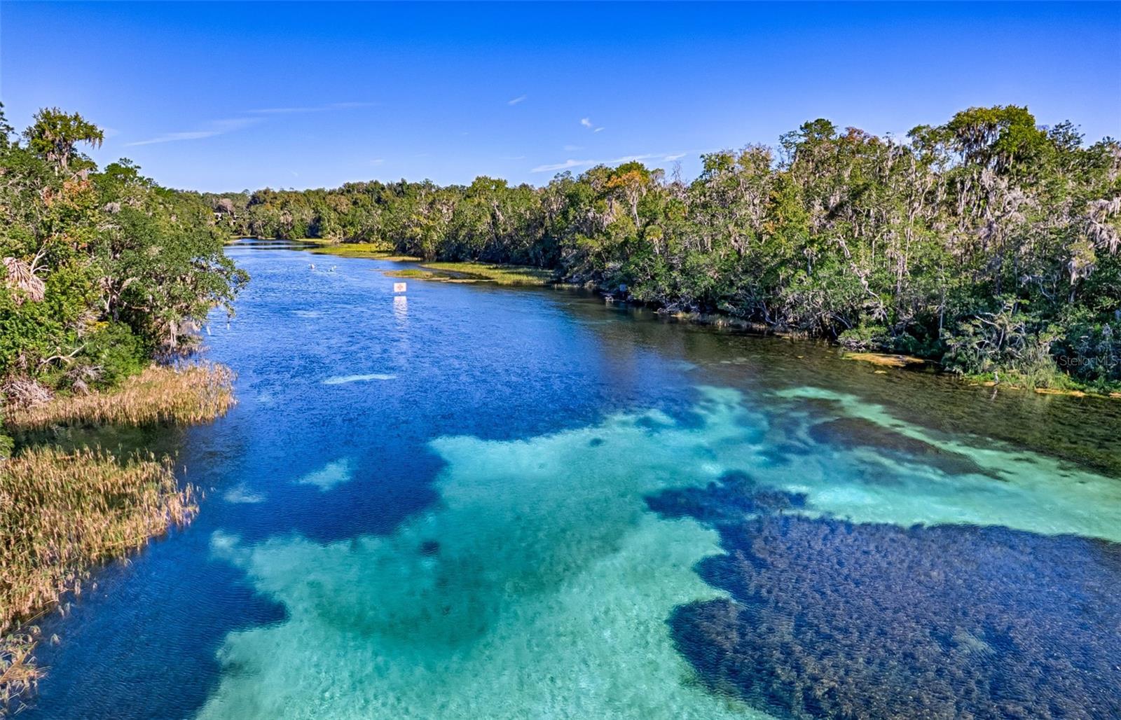 19715 SW 93RD LANE RD, DUNNELLON, FL, 34432