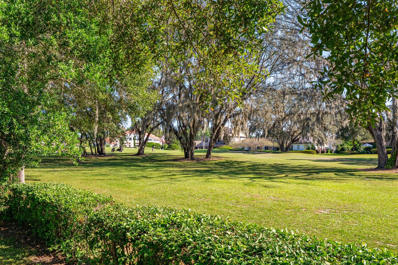 935 RIDGESIDE CT, APOPKA, FL, 32712