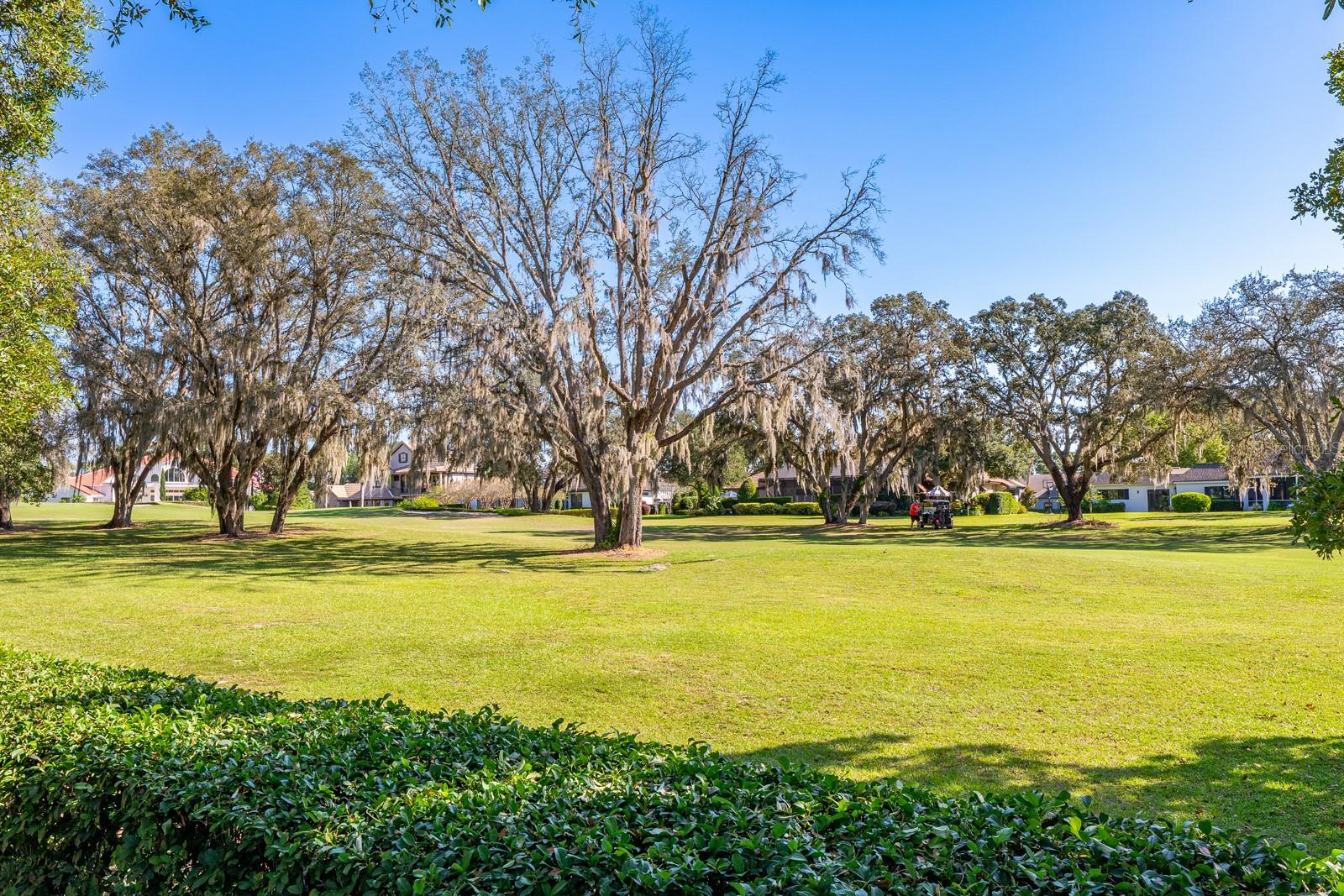 935 RIDGESIDE CT, APOPKA, FL, 32712