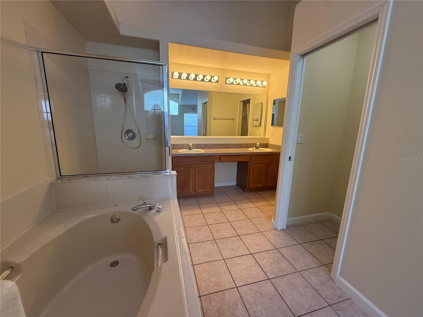 3160 EGRETS LANDING DR, LAKE MARY, FL, 32746