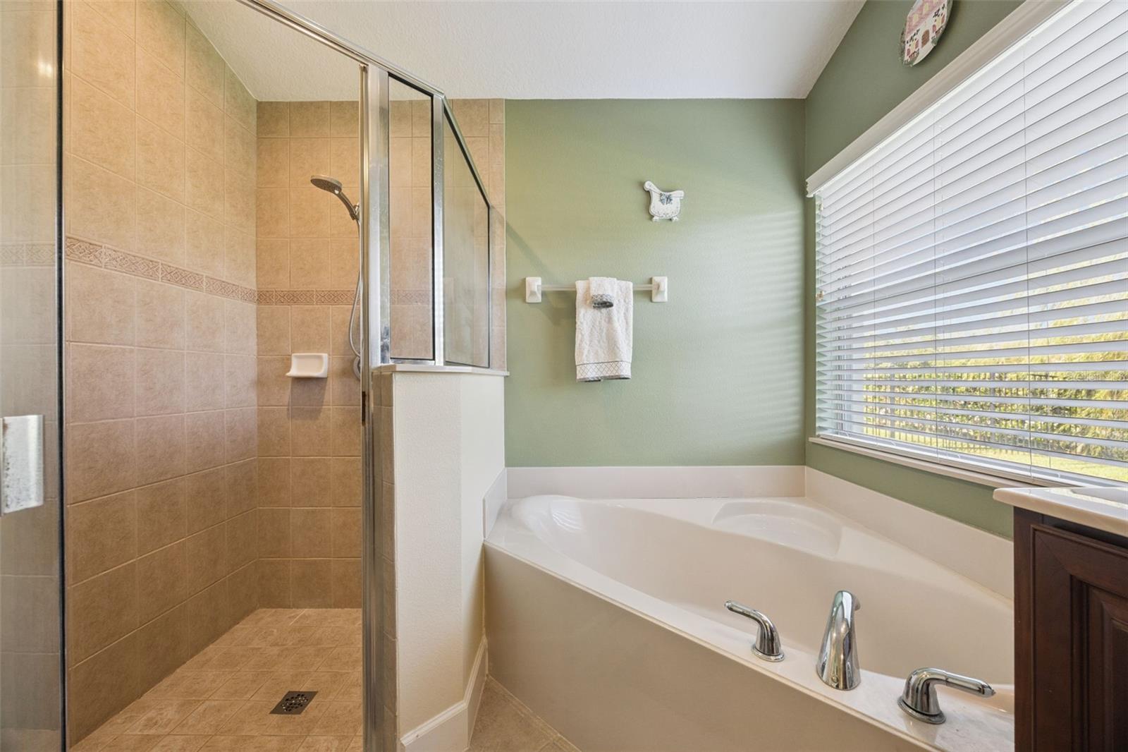 3720 VALLEY OAKS CT, OVIEDO, FL, 32766