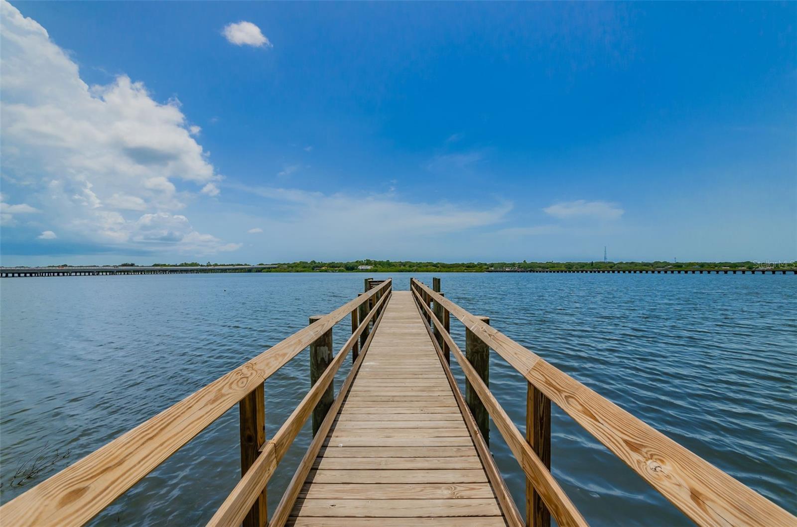 2315 SUNSET WIND LOOP, OLDSMAR, FL, 34677