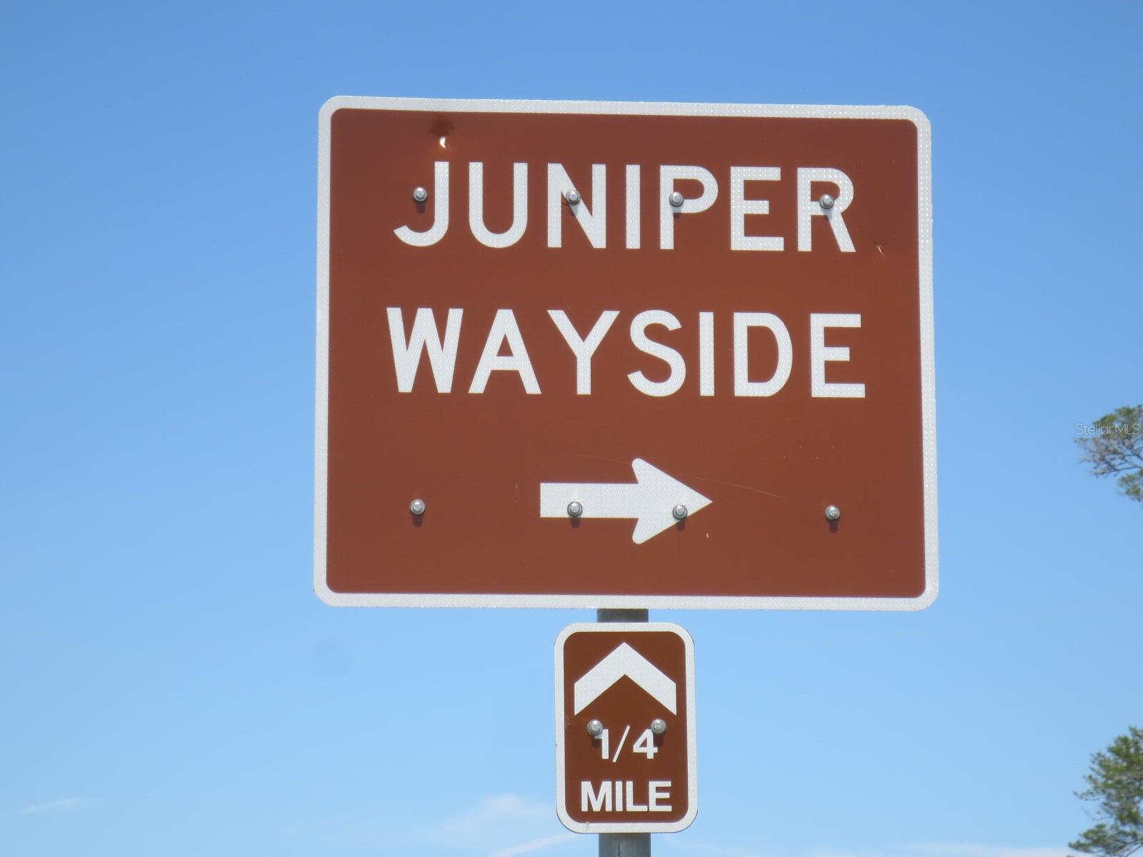 11570 NE 19TH ST, SILVER SPRINGS, FL, 34488