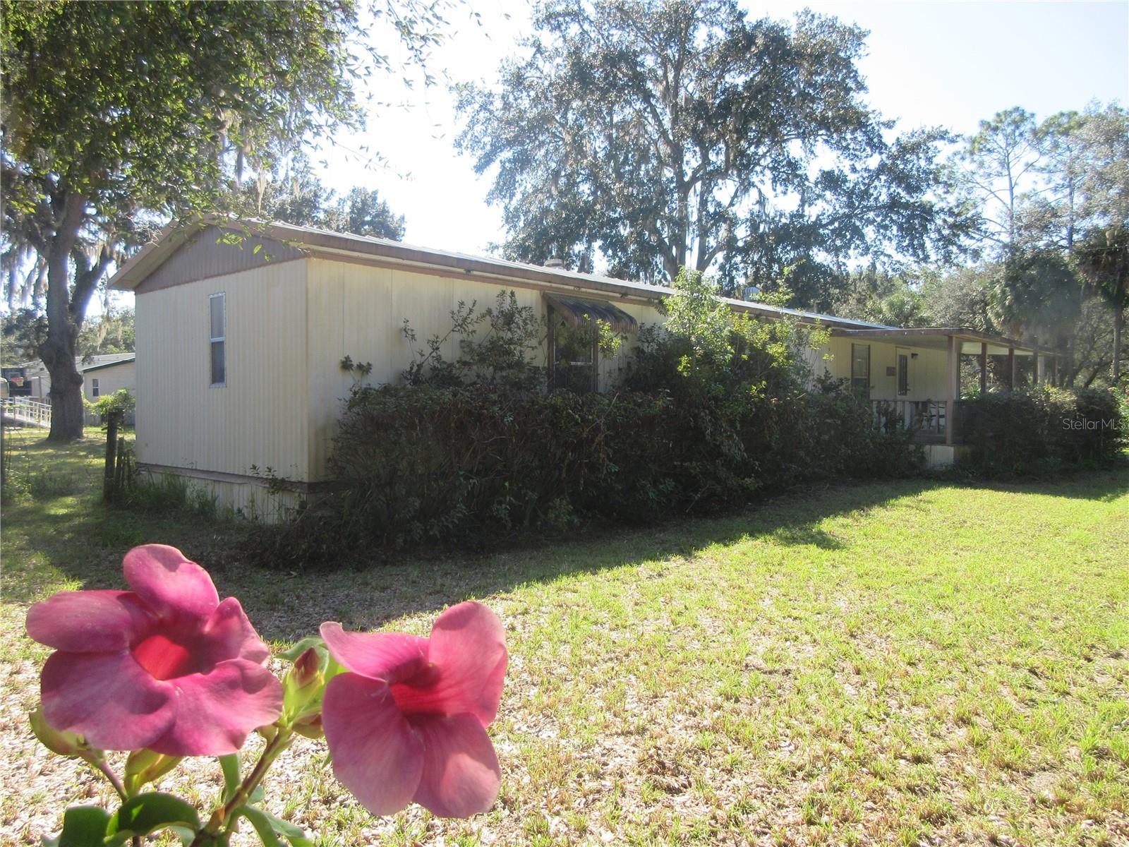11570 NE 19TH ST, SILVER SPRINGS, FL, 34488
