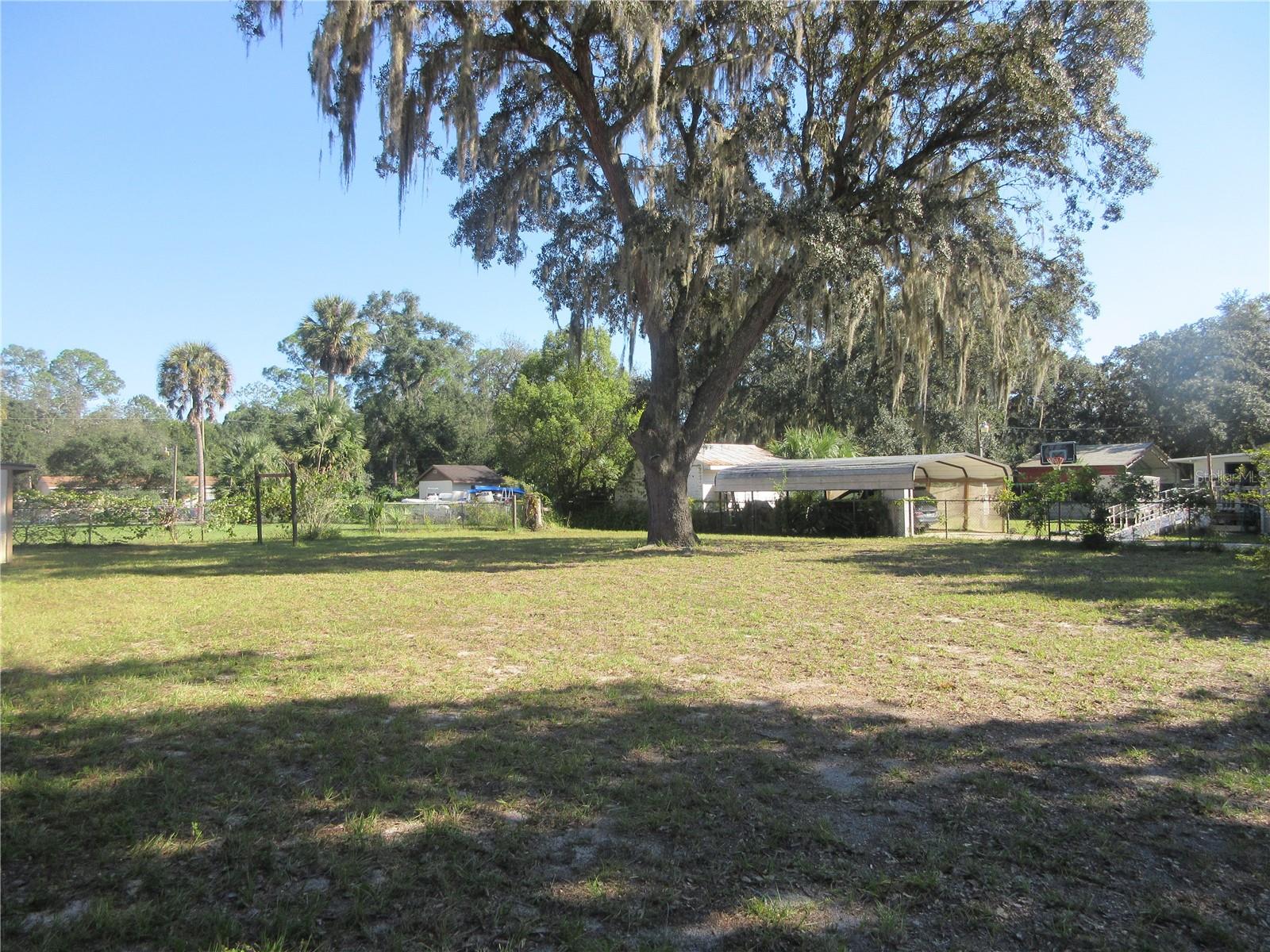 11570 NE 19TH ST, SILVER SPRINGS, FL, 34488