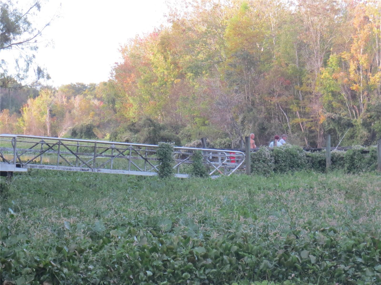 11570 NE 19TH ST, SILVER SPRINGS, FL, 34488