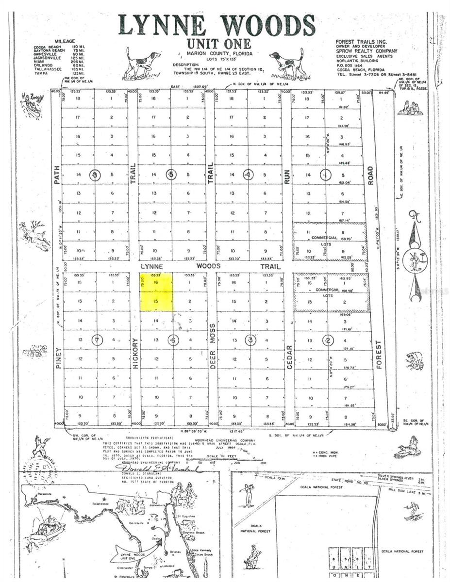 11570 NE 19TH ST, SILVER SPRINGS, FL, 34488