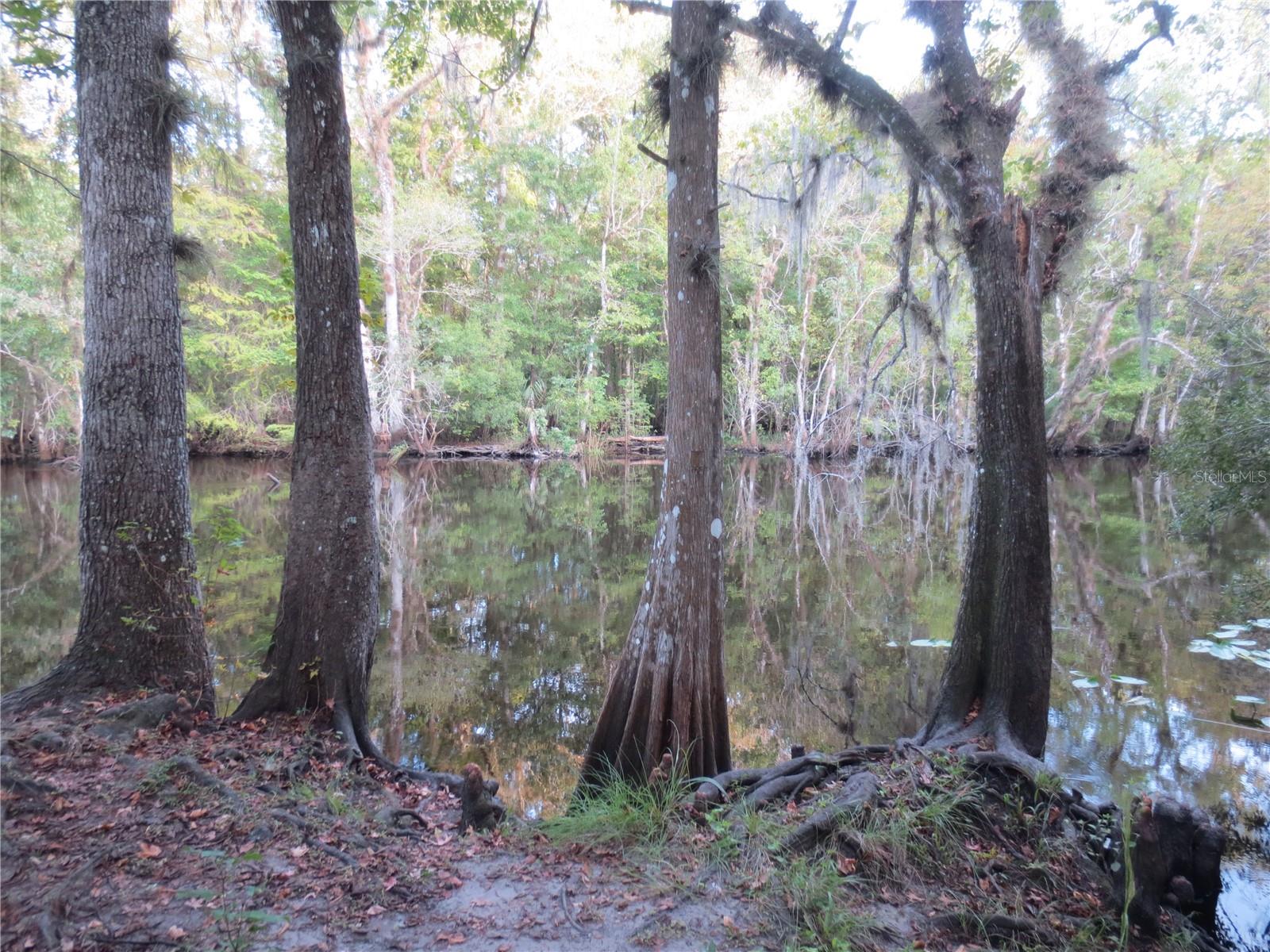 11570 NE 19TH ST, SILVER SPRINGS, FL, 34488