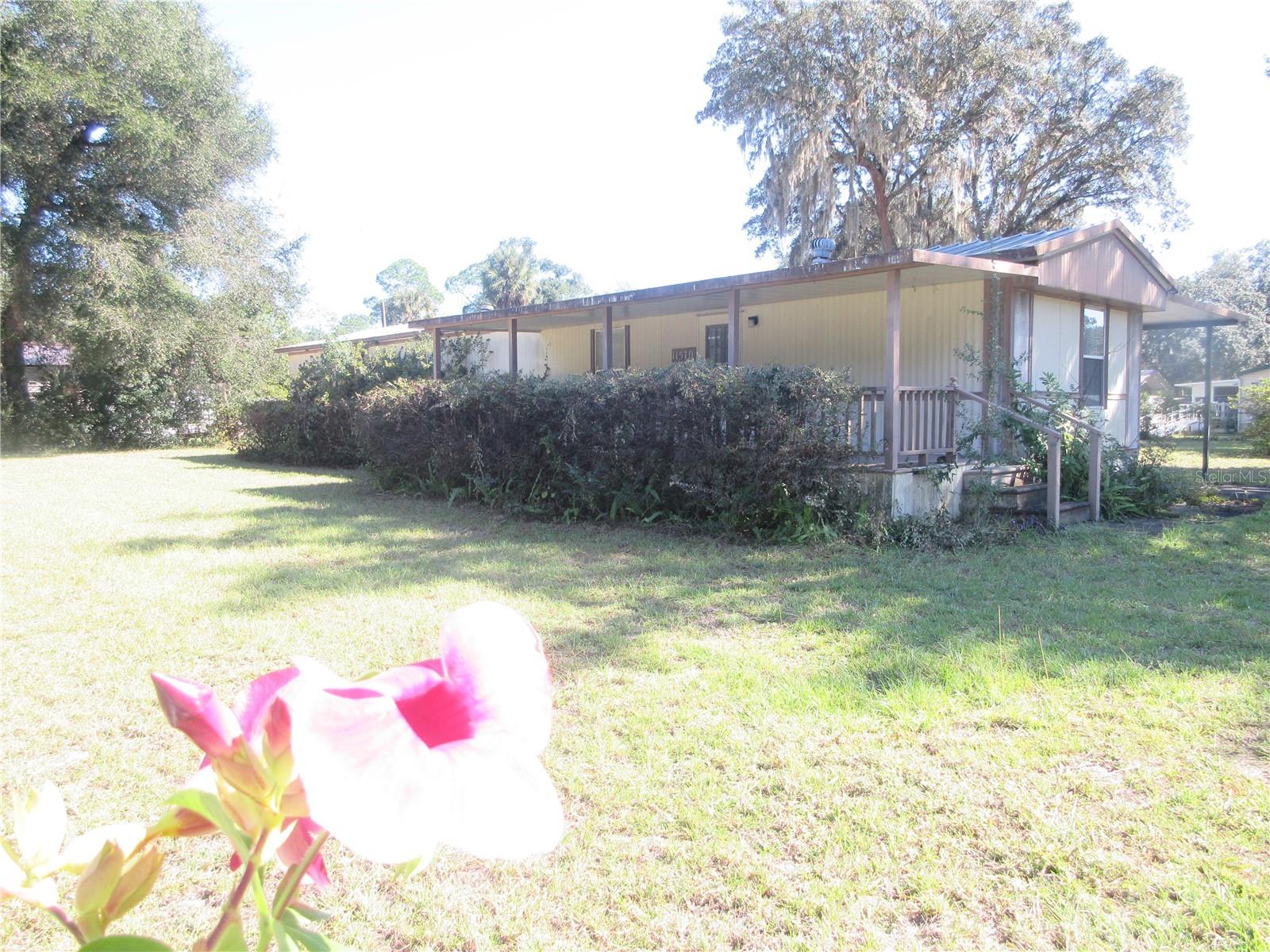 11570 NE 19TH ST, SILVER SPRINGS, FL, 34488