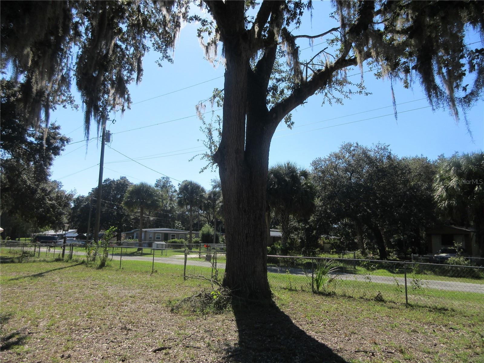 11570 NE 19TH ST, SILVER SPRINGS, FL, 34488