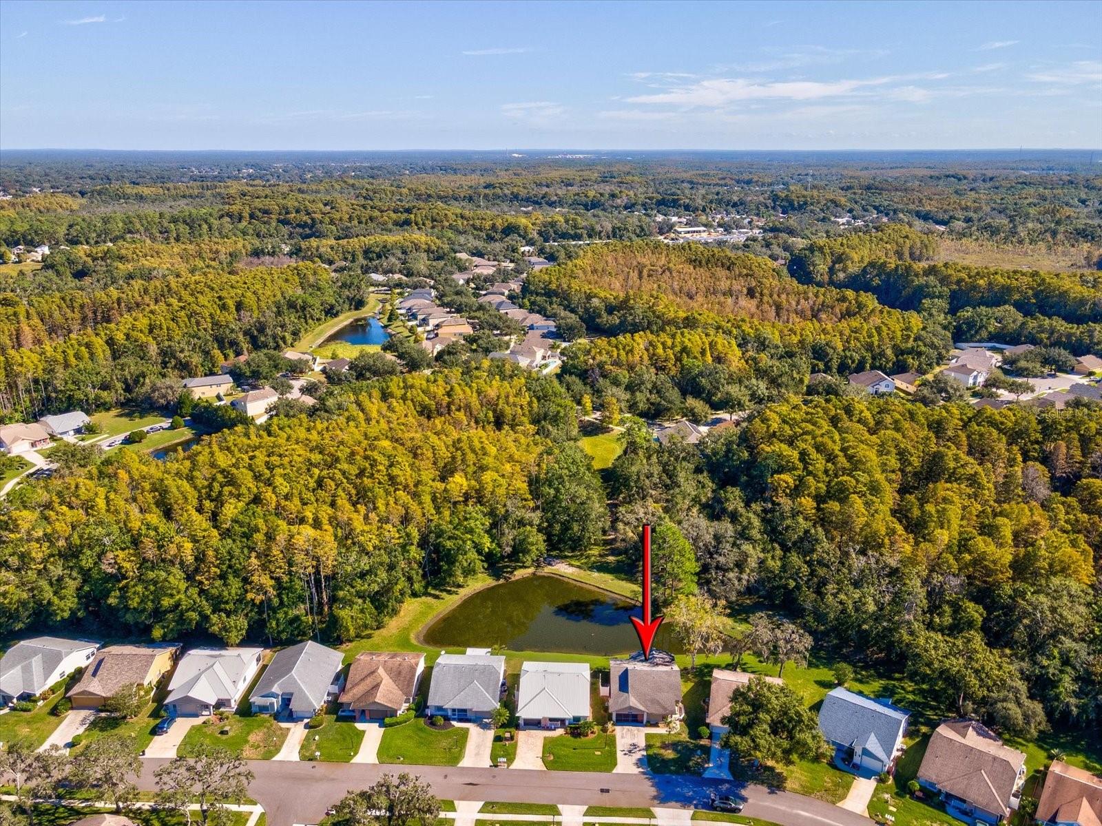 11636 ASPENWOOD DR, NEW PORT RICHEY, FL, 34654