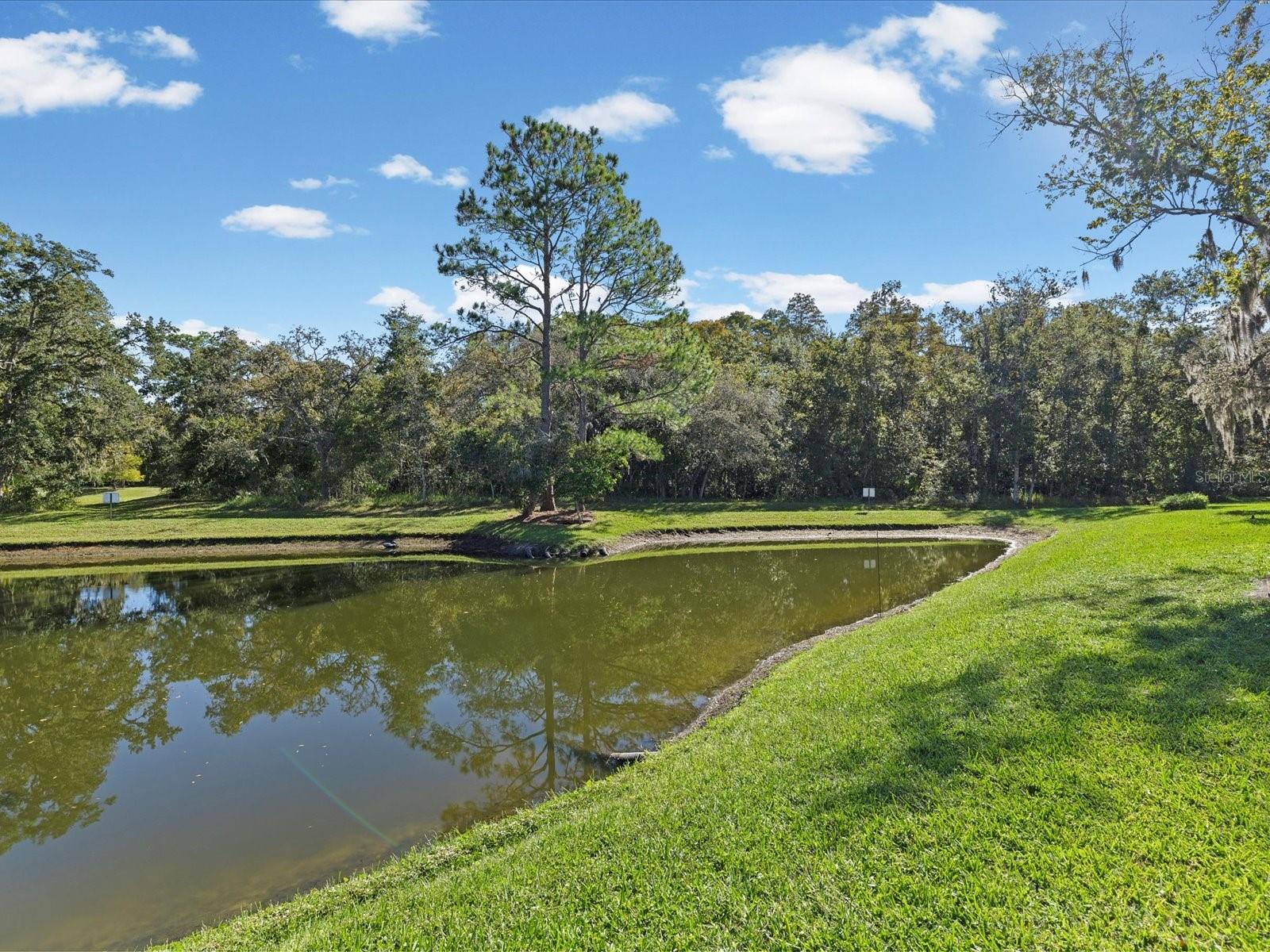 11636 ASPENWOOD DR, NEW PORT RICHEY, FL, 34654