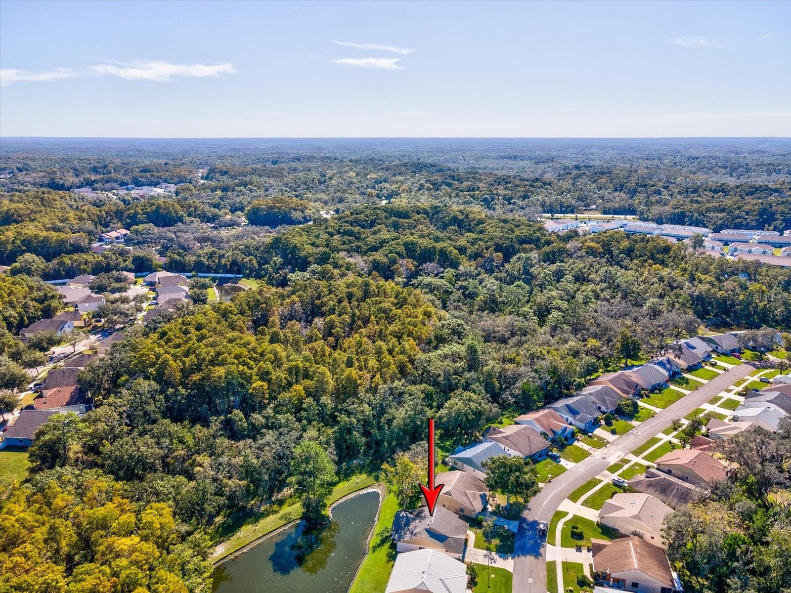 11636 ASPENWOOD DR, NEW PORT RICHEY, FL, 34654