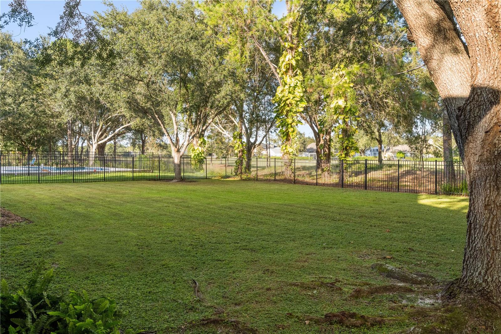 6047 BLAKEFORD DR, WINDERMERE, FL, 34786