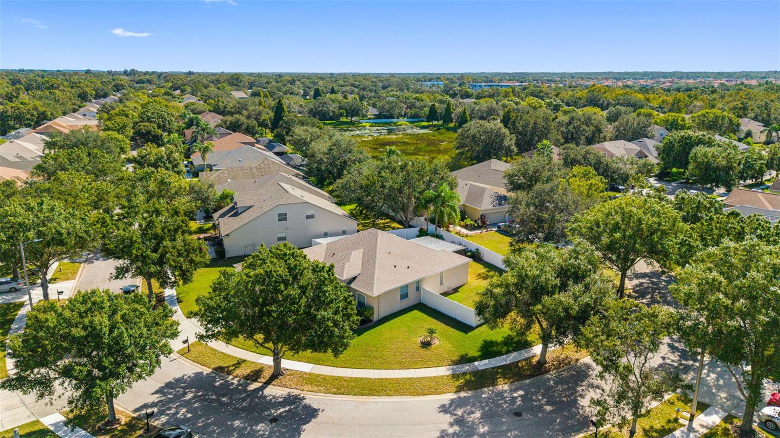 11749 SUMMER SPRINGS DR, RIVERVIEW, FL, 33579