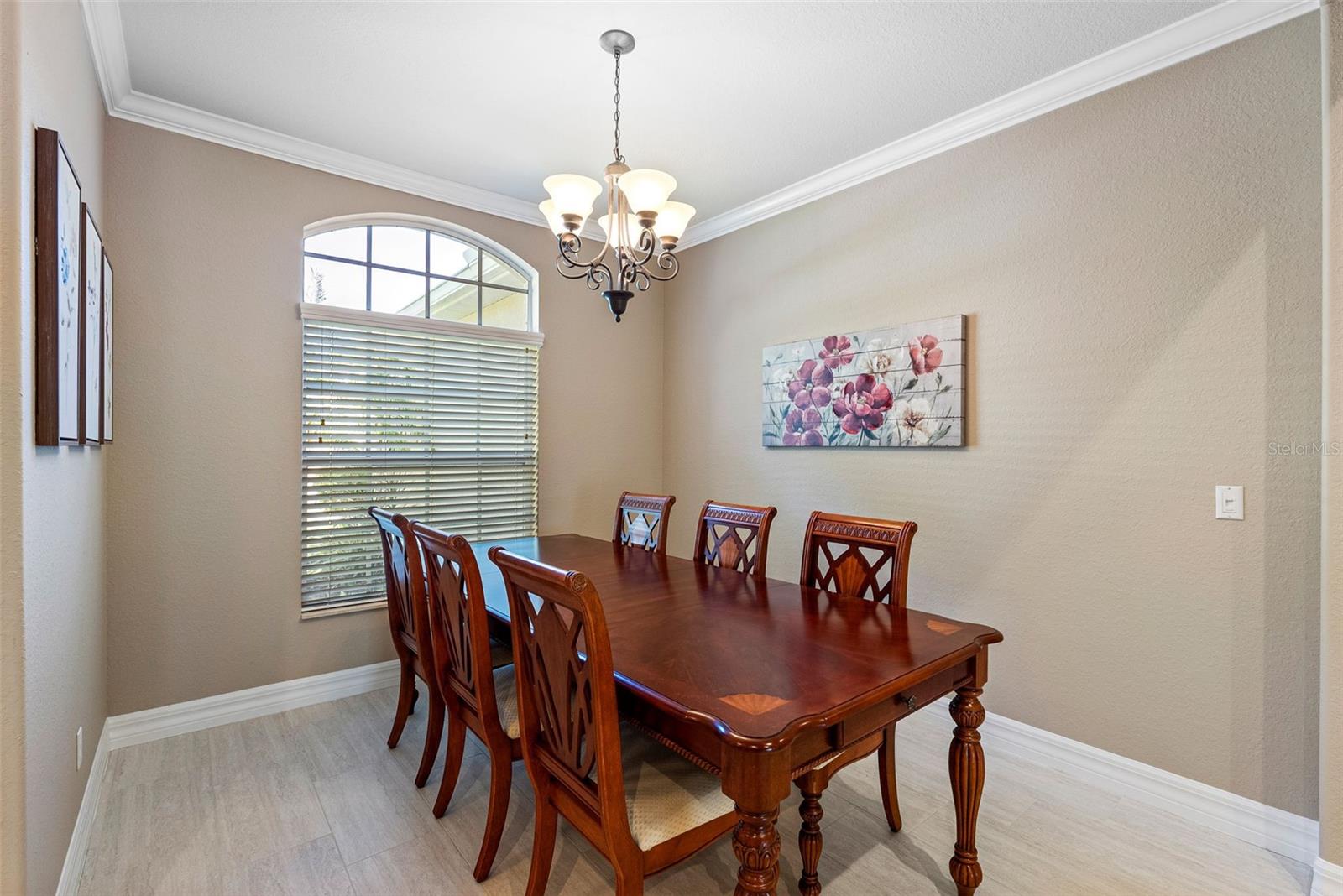 11749 SUMMER SPRINGS DR, RIVERVIEW, FL, 33579