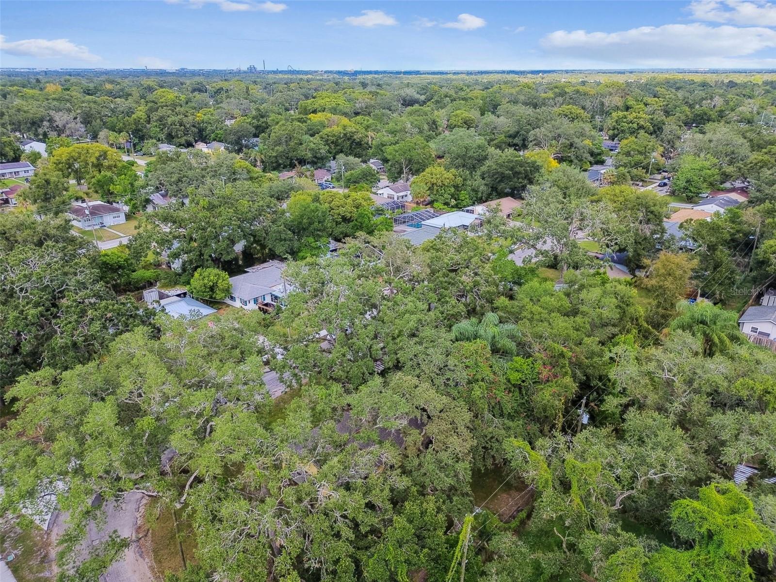 1001 E FERN ST, TAMPA, FL, 33604