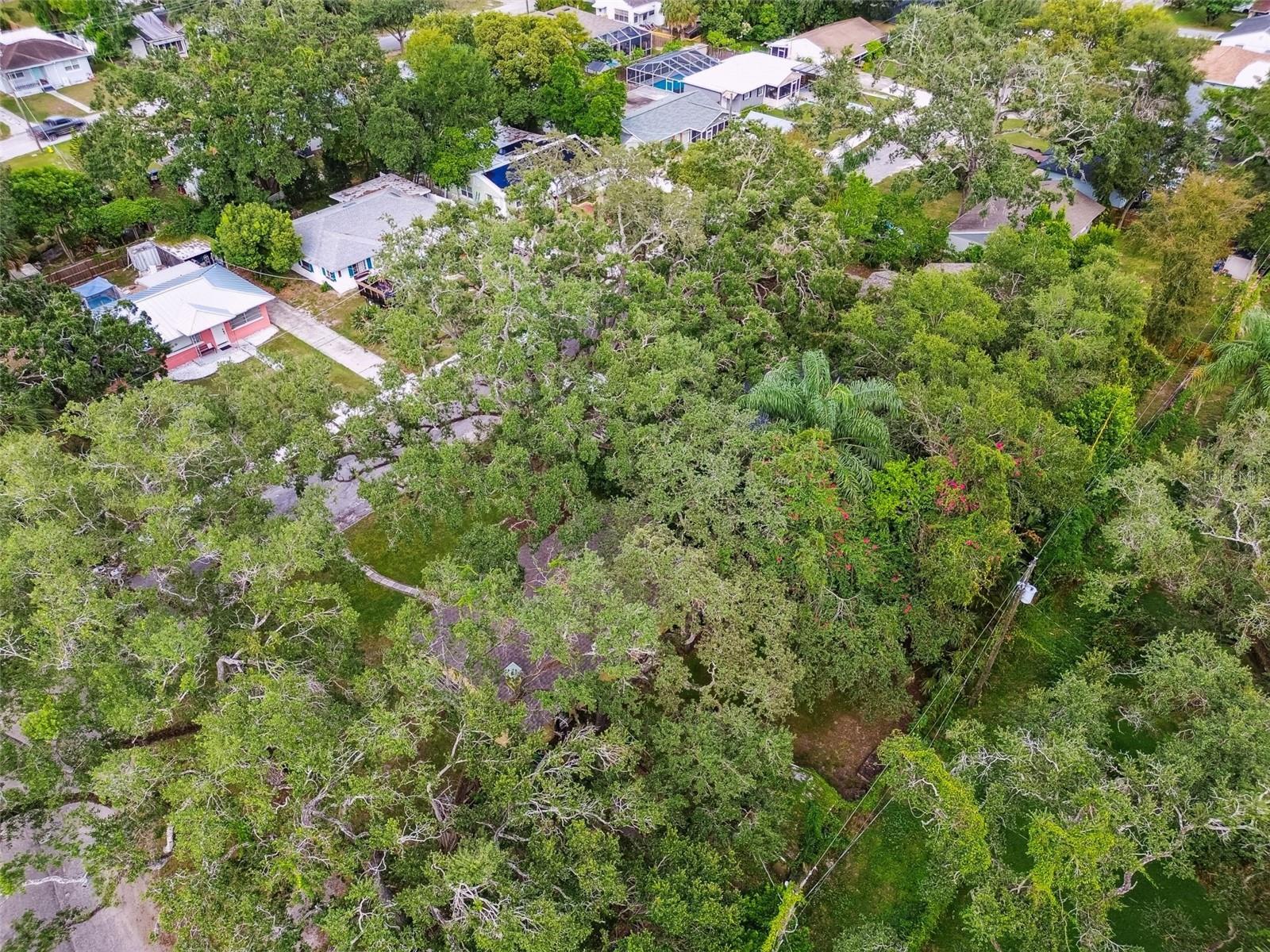 1001 E FERN ST, TAMPA, FL, 33604