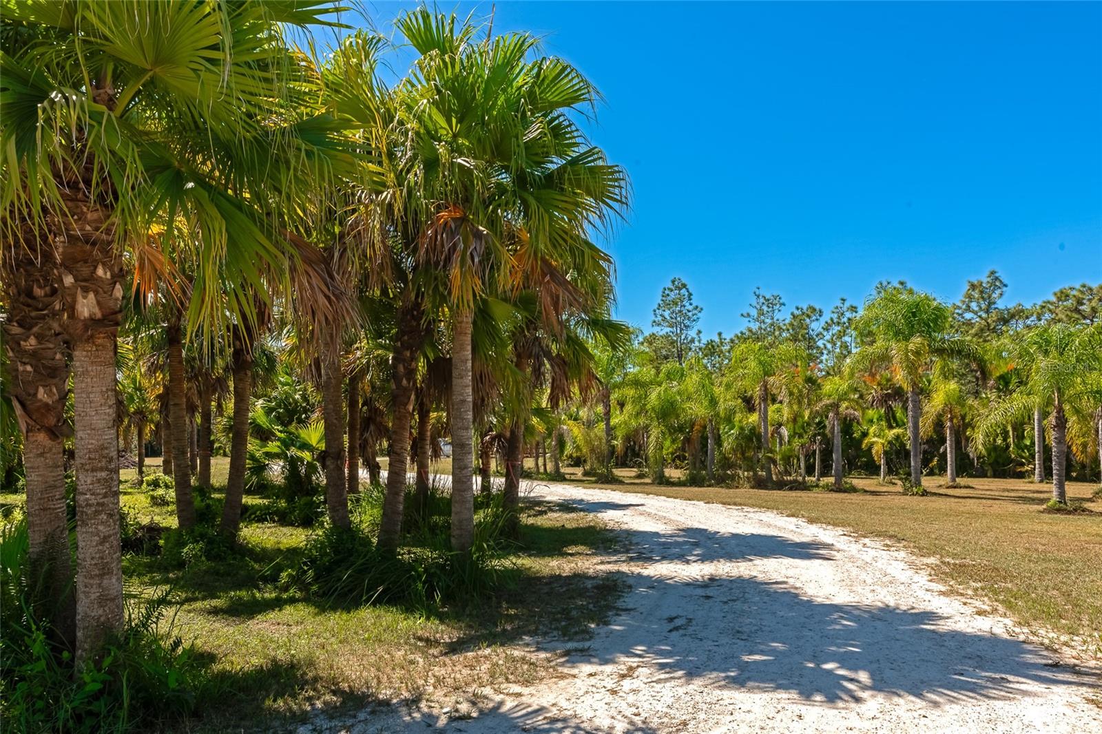 6921 245TH ST E, MYAKKA CITY, FL, 34251