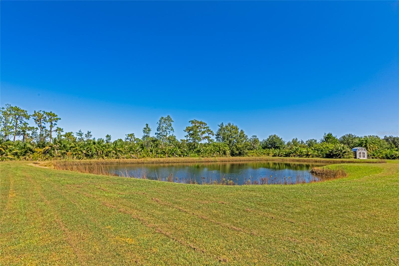 6921 245TH ST E, MYAKKA CITY, FL, 34251