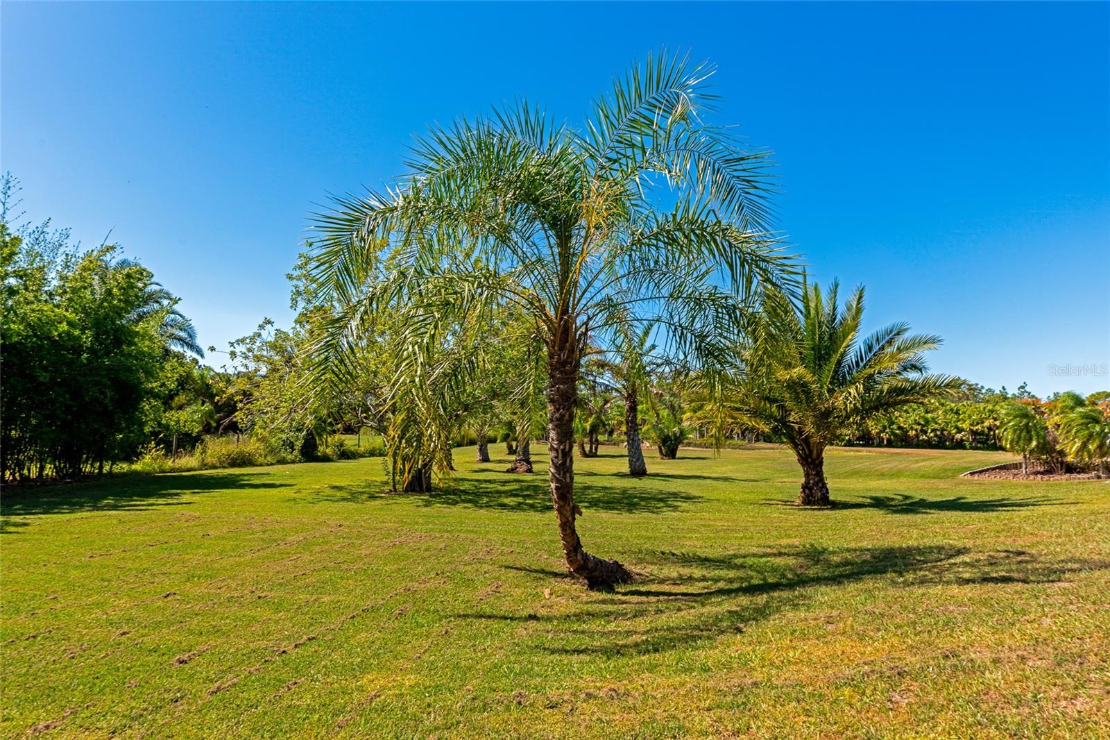 6921 245TH ST E, MYAKKA CITY, FL, 34251