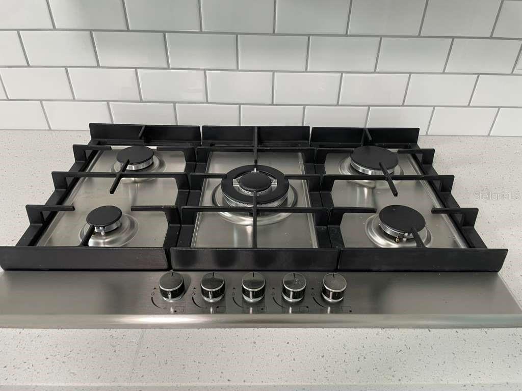 10106 ROYAL ACRES CT, TAMPA, FL, 33615