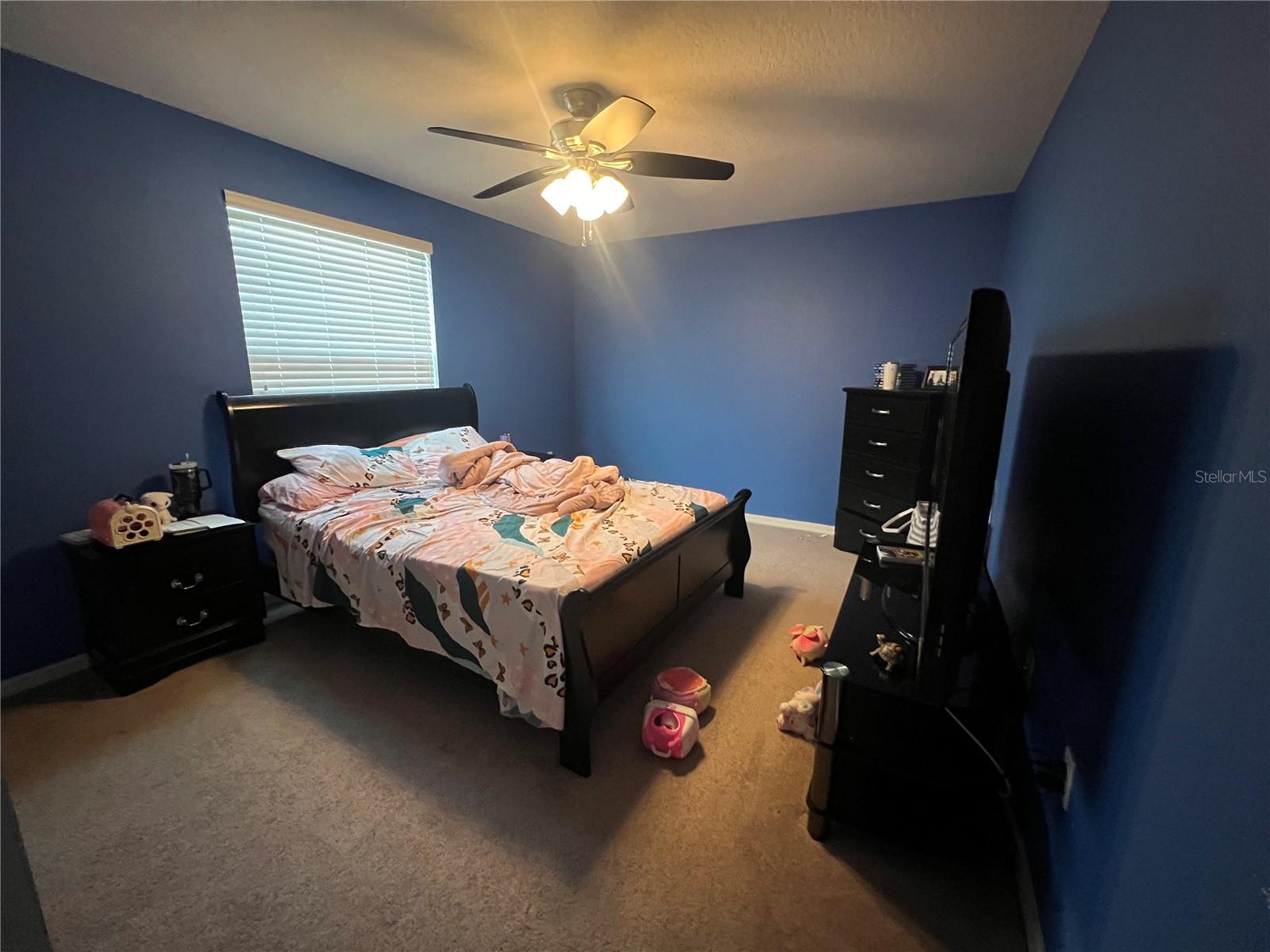 13331 WATERFORD CASTLE DR, DADE CITY, FL, 33525