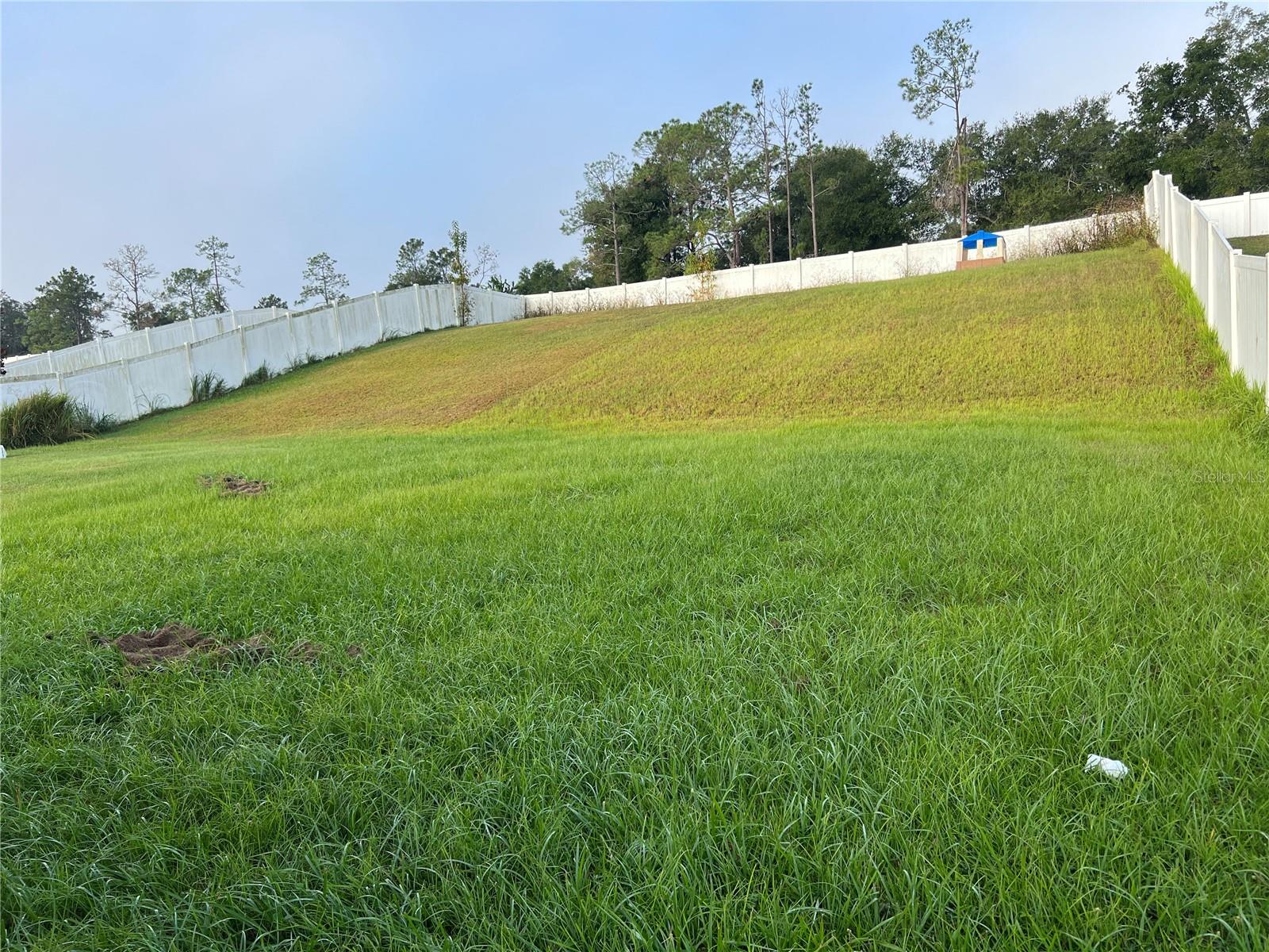 13331 WATERFORD CASTLE DR, DADE CITY, FL, 33525